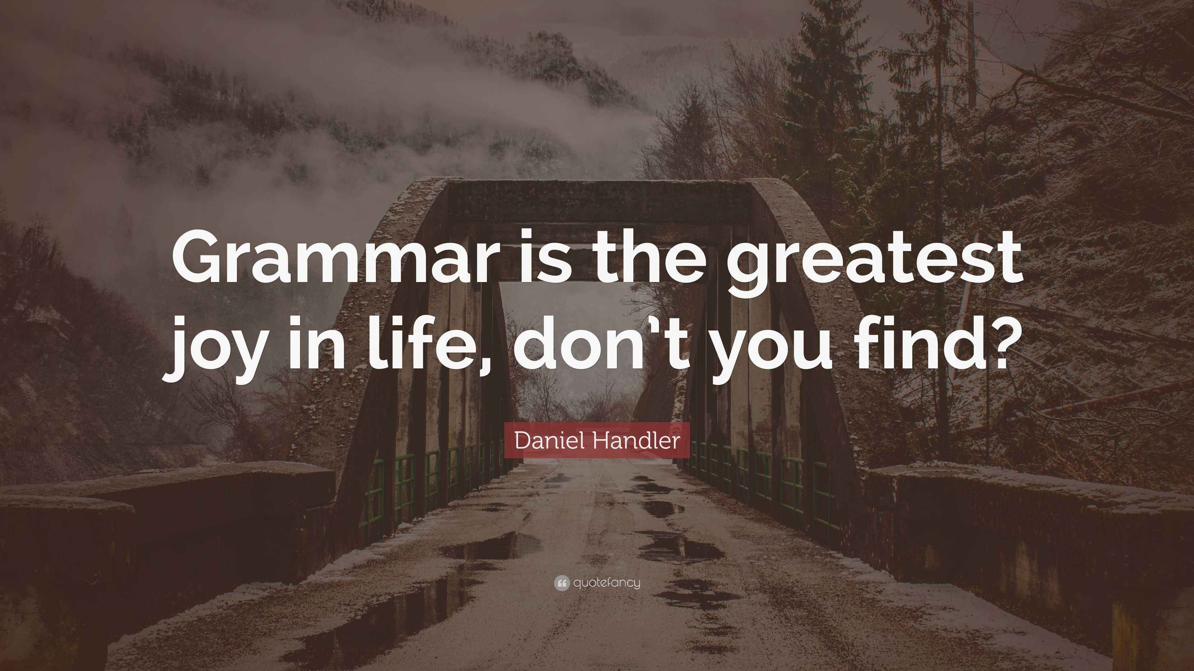 Daniel Handler Quote: “Grammar is the greatest joy in life, don’t you ...