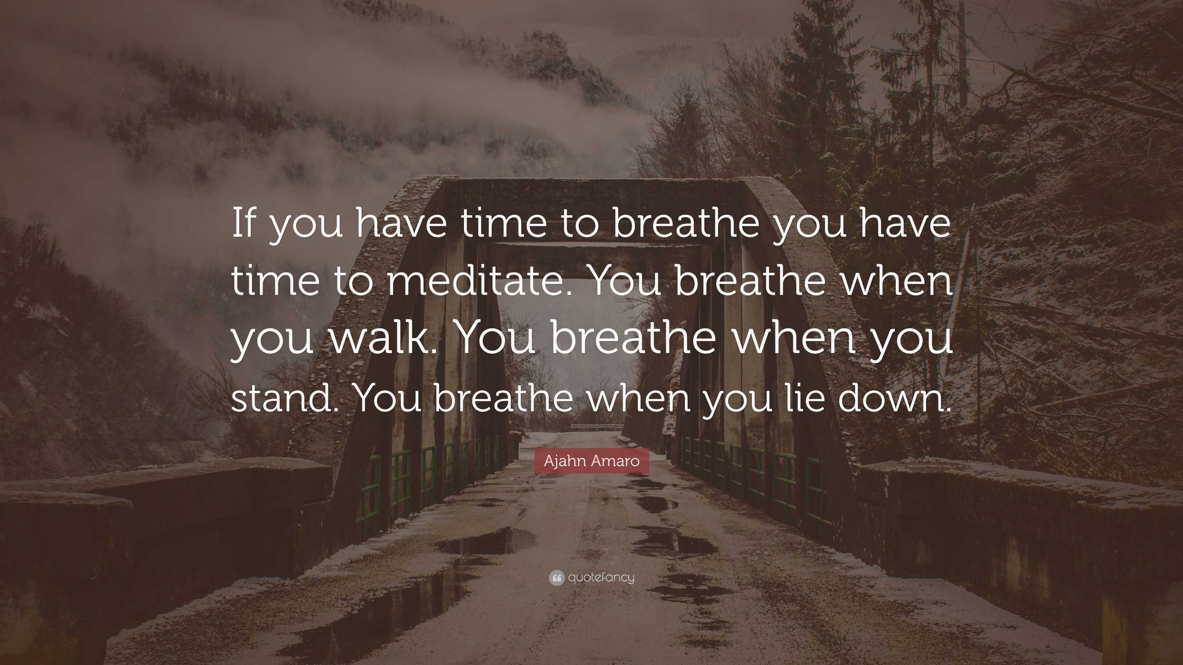 Ajahn Amaro Quote: “If you have time to breathe you have time to ...