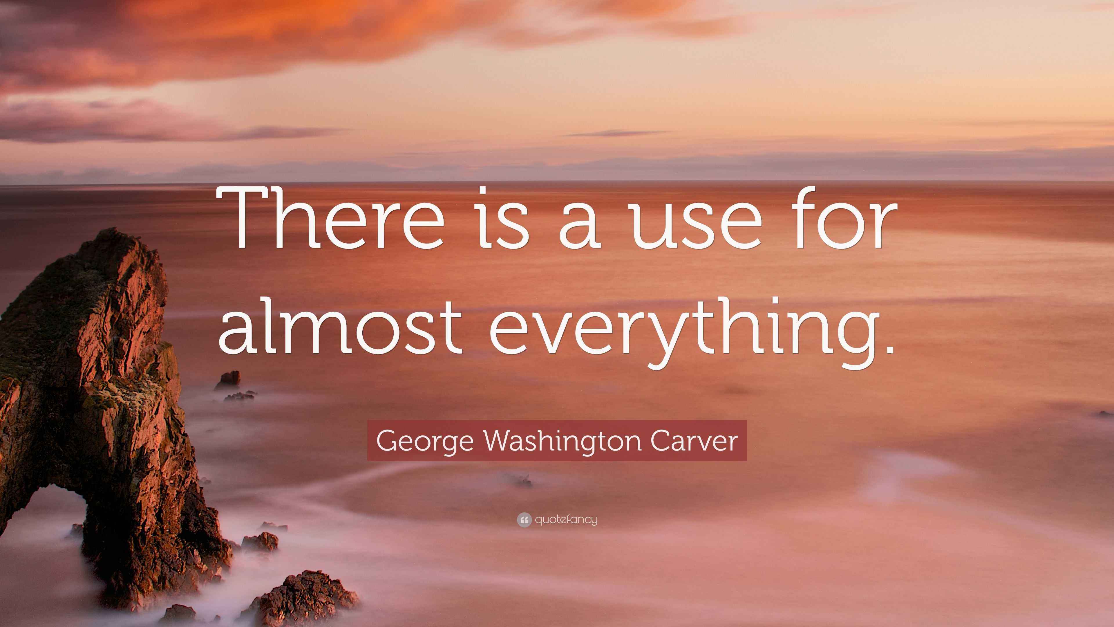 Washington Carver Quote “There is a use for almost everything.”