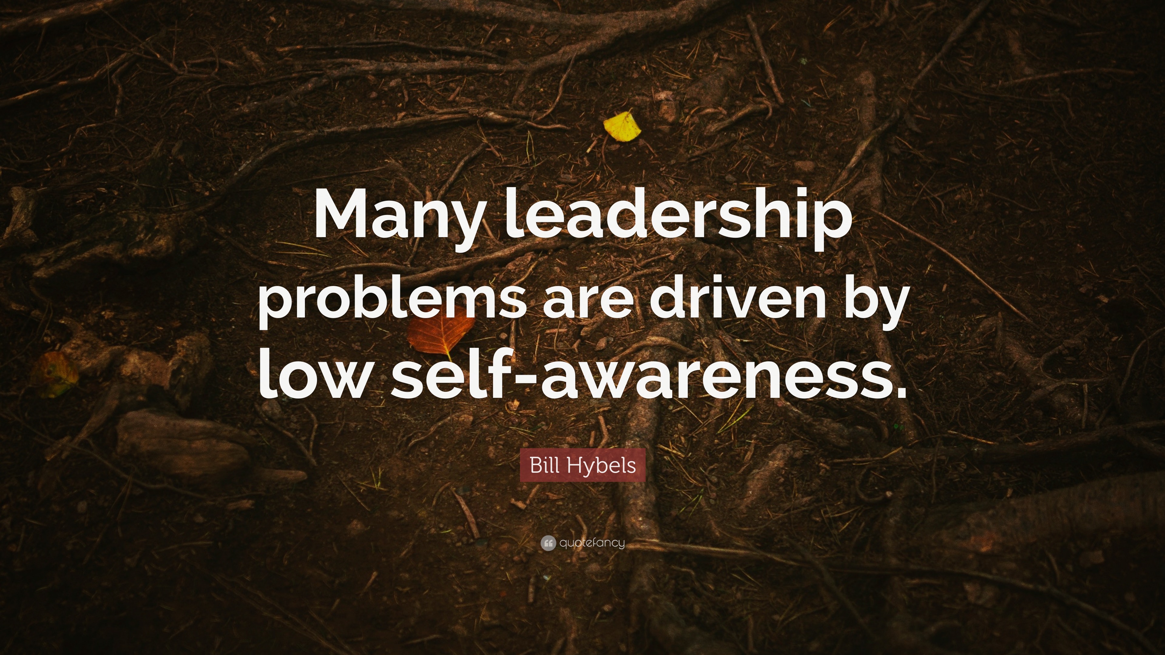 Bill Hybels Quote “Many leadership problems are driven by low self