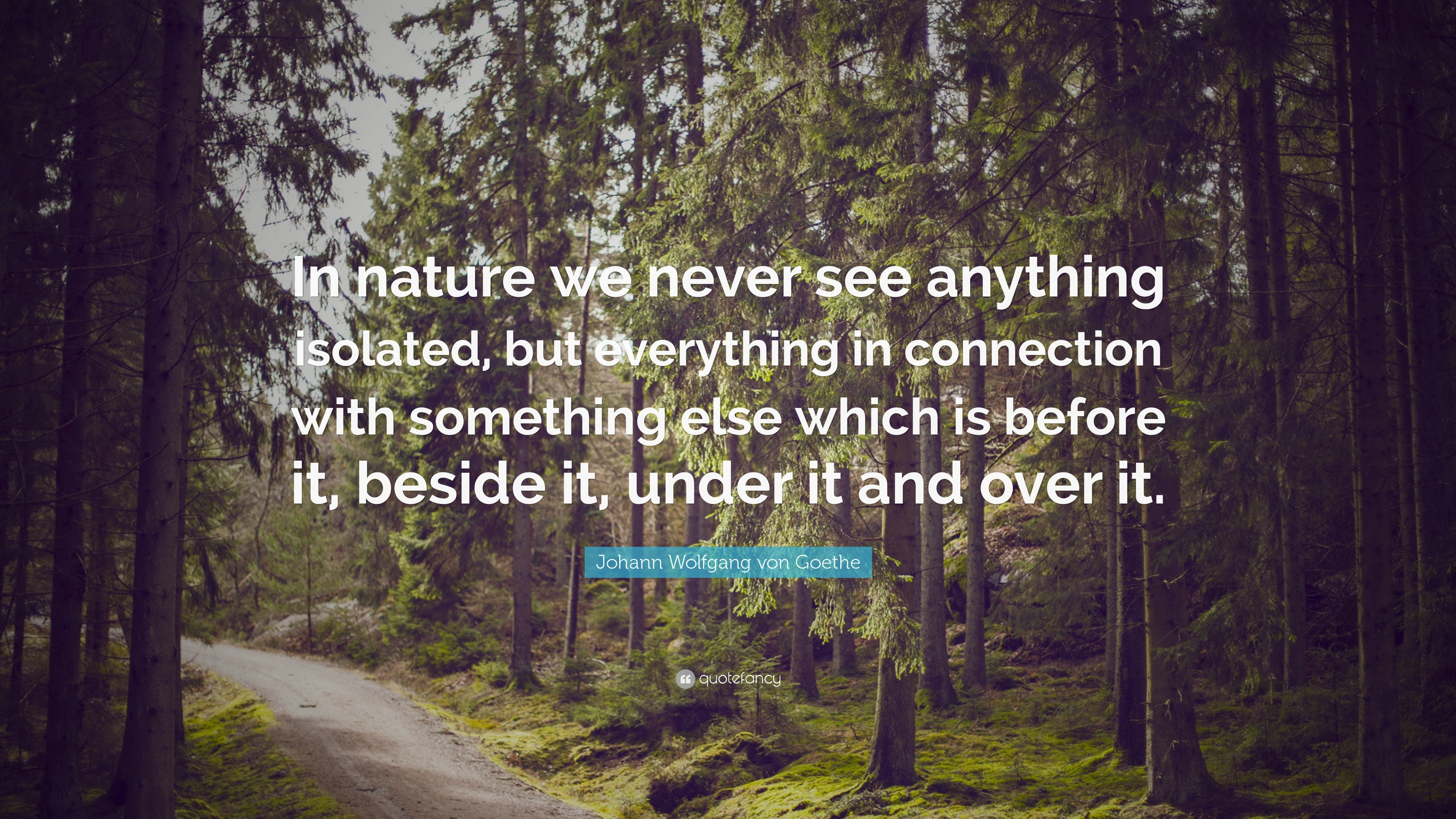 Johann Wolfgang von Goethe Quote: “In nature we never see anything ...