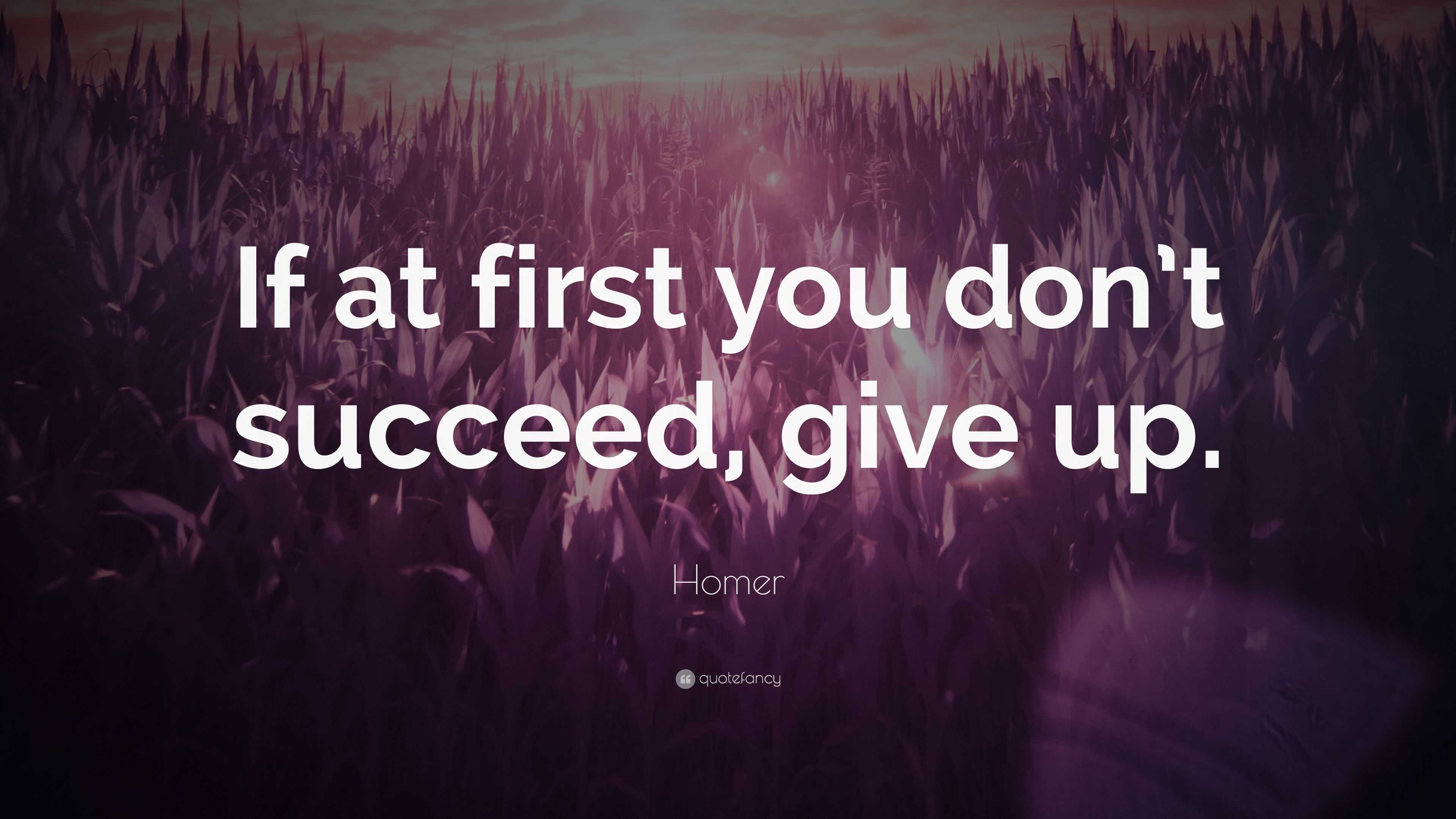 Homer Quote: “If at first you don’t succeed, give up.”