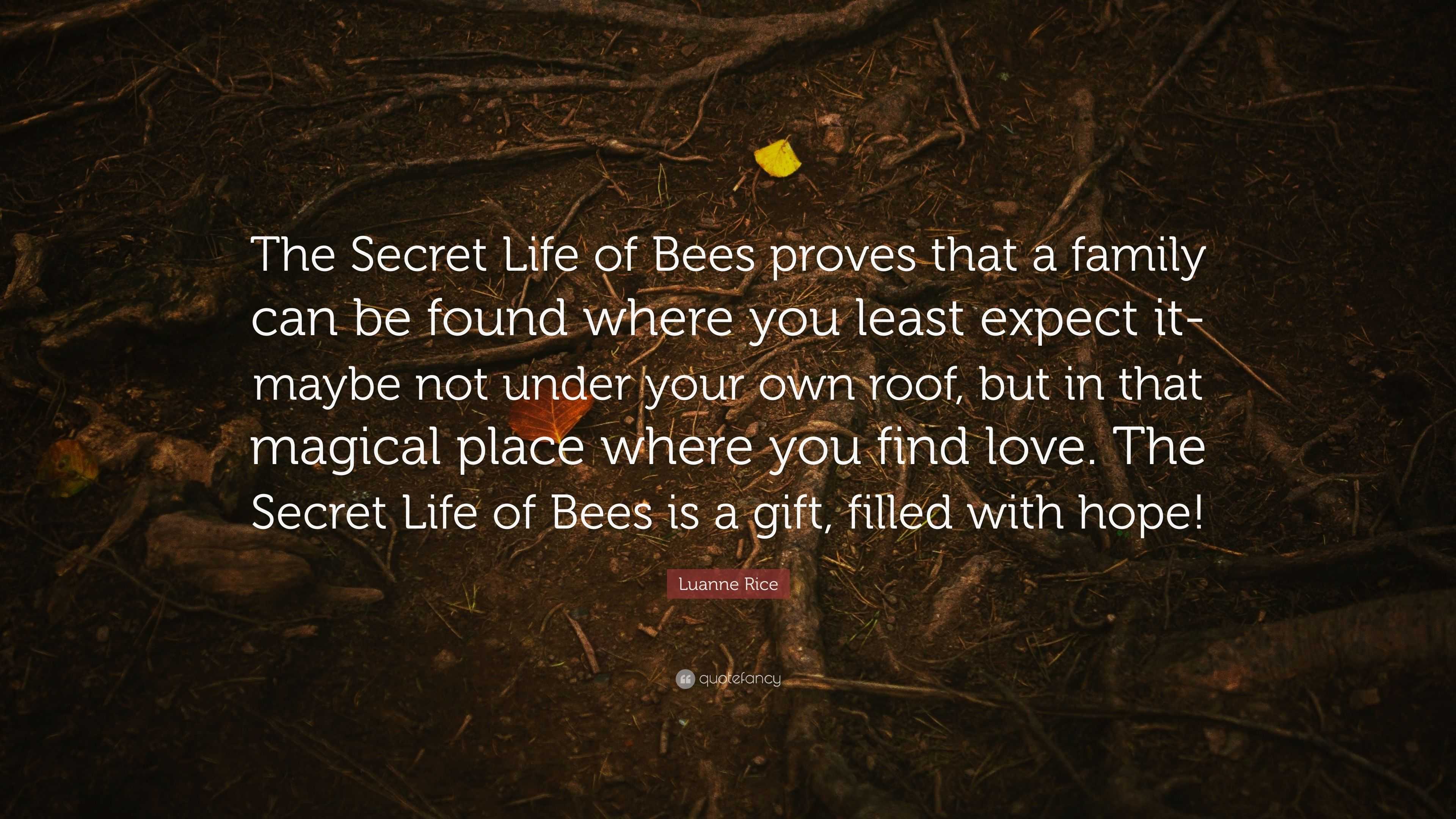 Luanne Rice Quote The Secret Life Of Bees Proves That A Family Can Be 