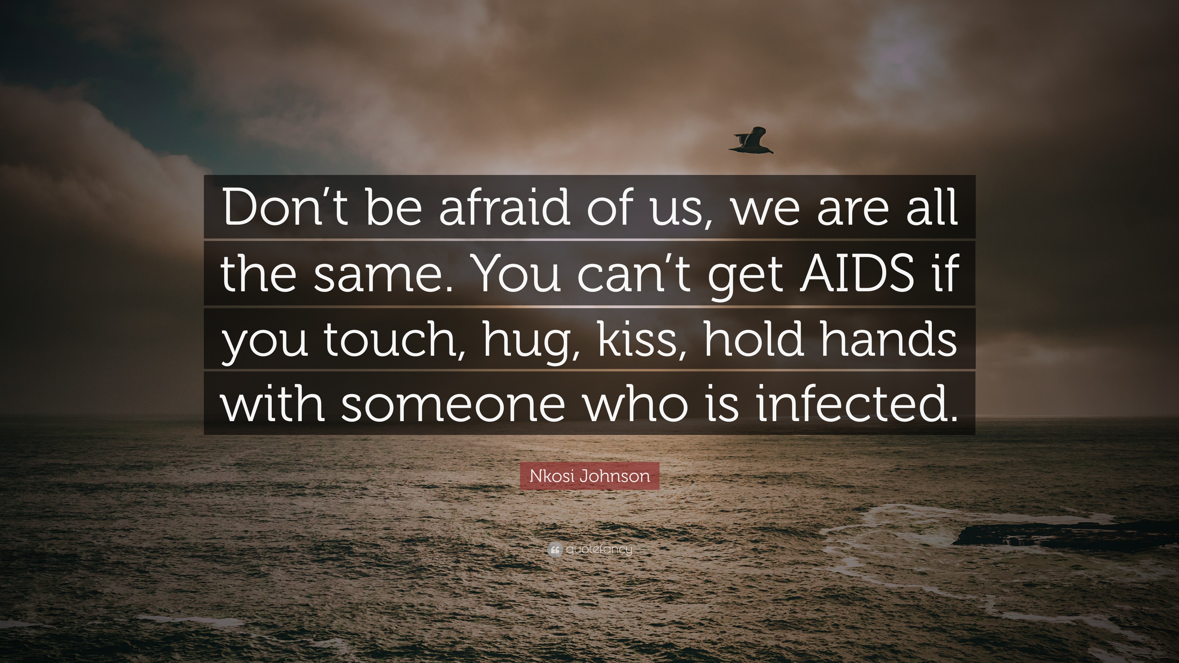 Don't Be Afraid To Touch