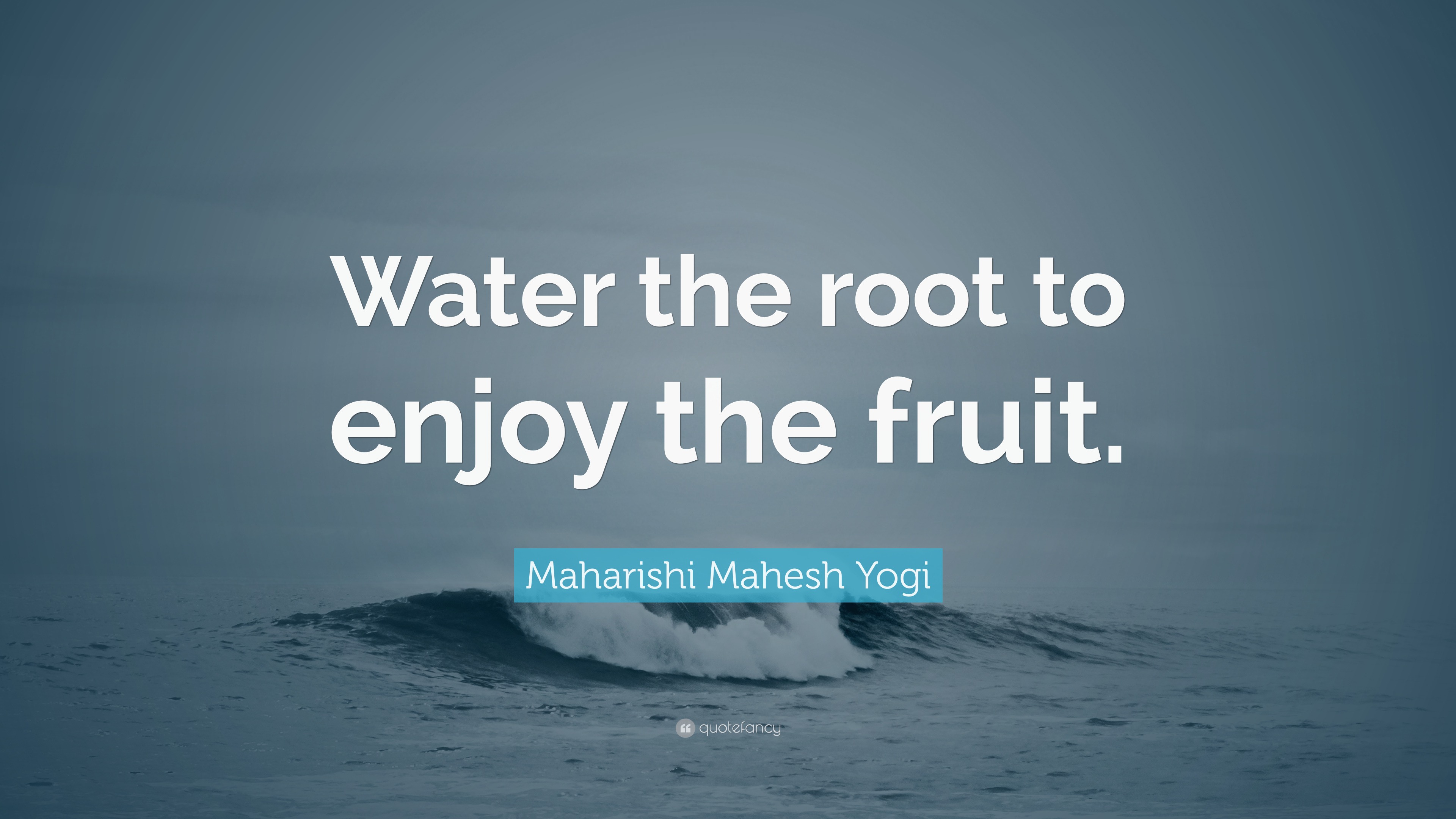 essay on water the root to enjoy the fruit