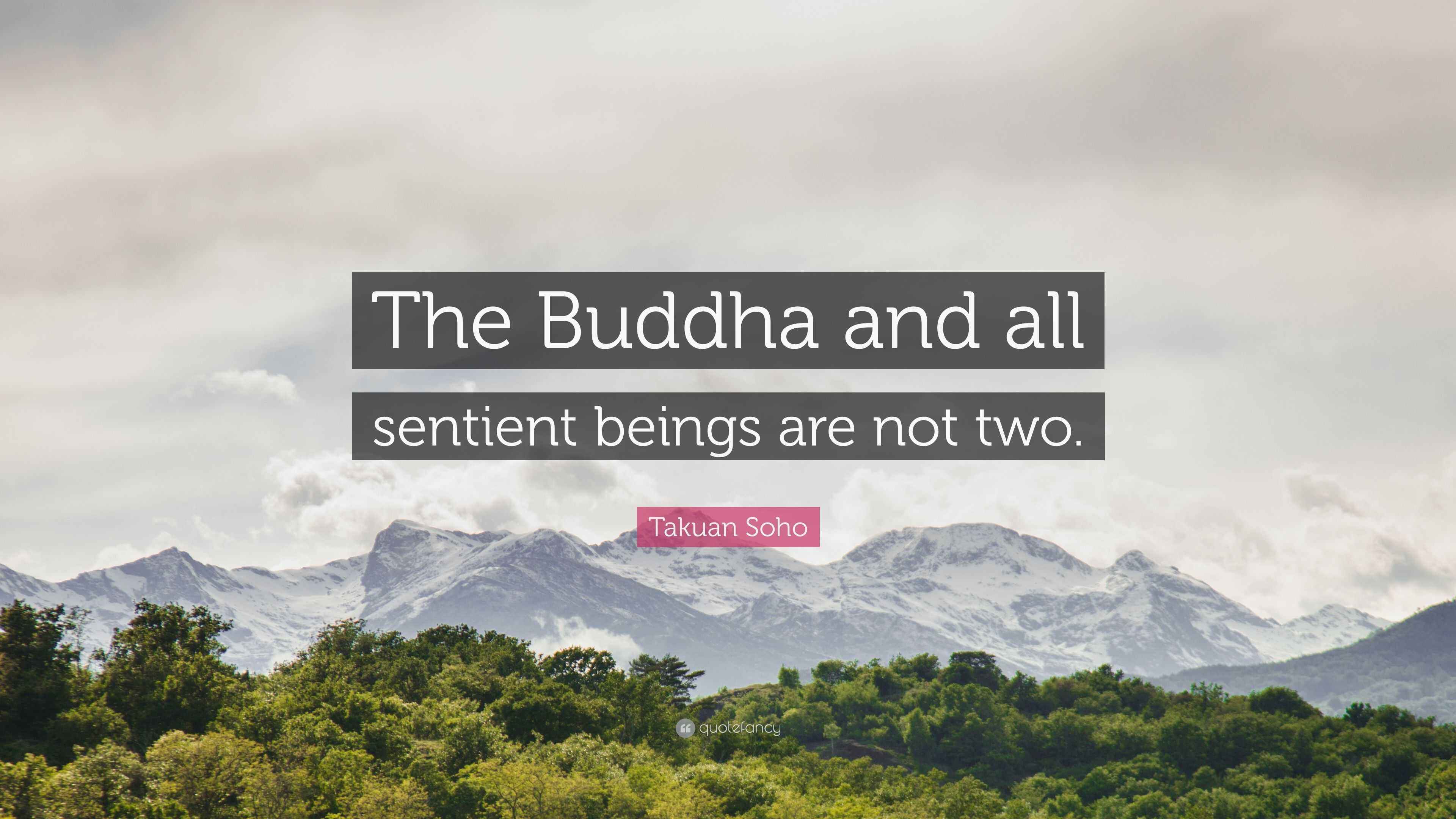 Takuan Soho Quote: “The Buddha and all sentient beings are not two.”