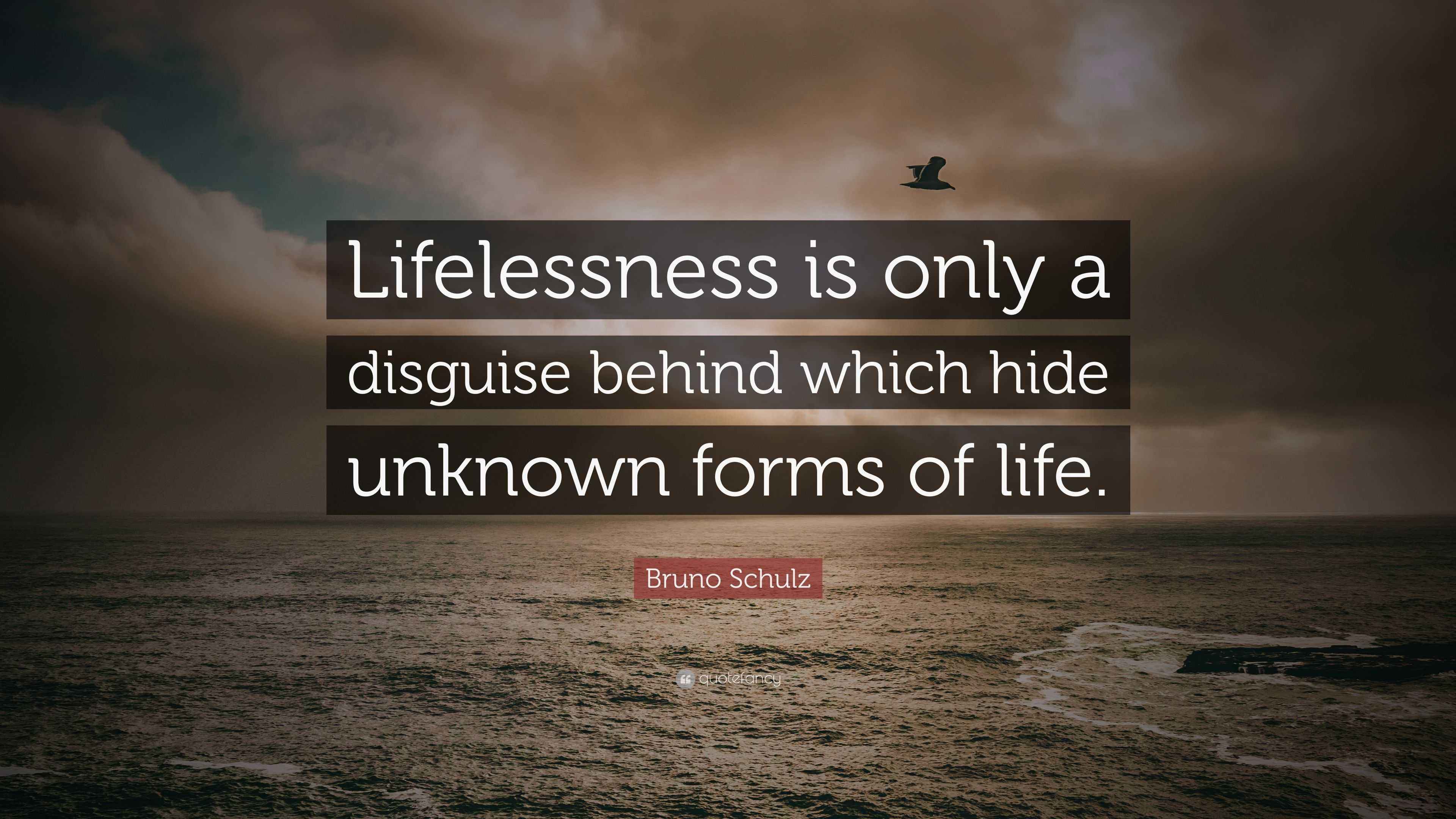 Bruno Schulz Quote: “Lifelessness is only a disguise behind which hide