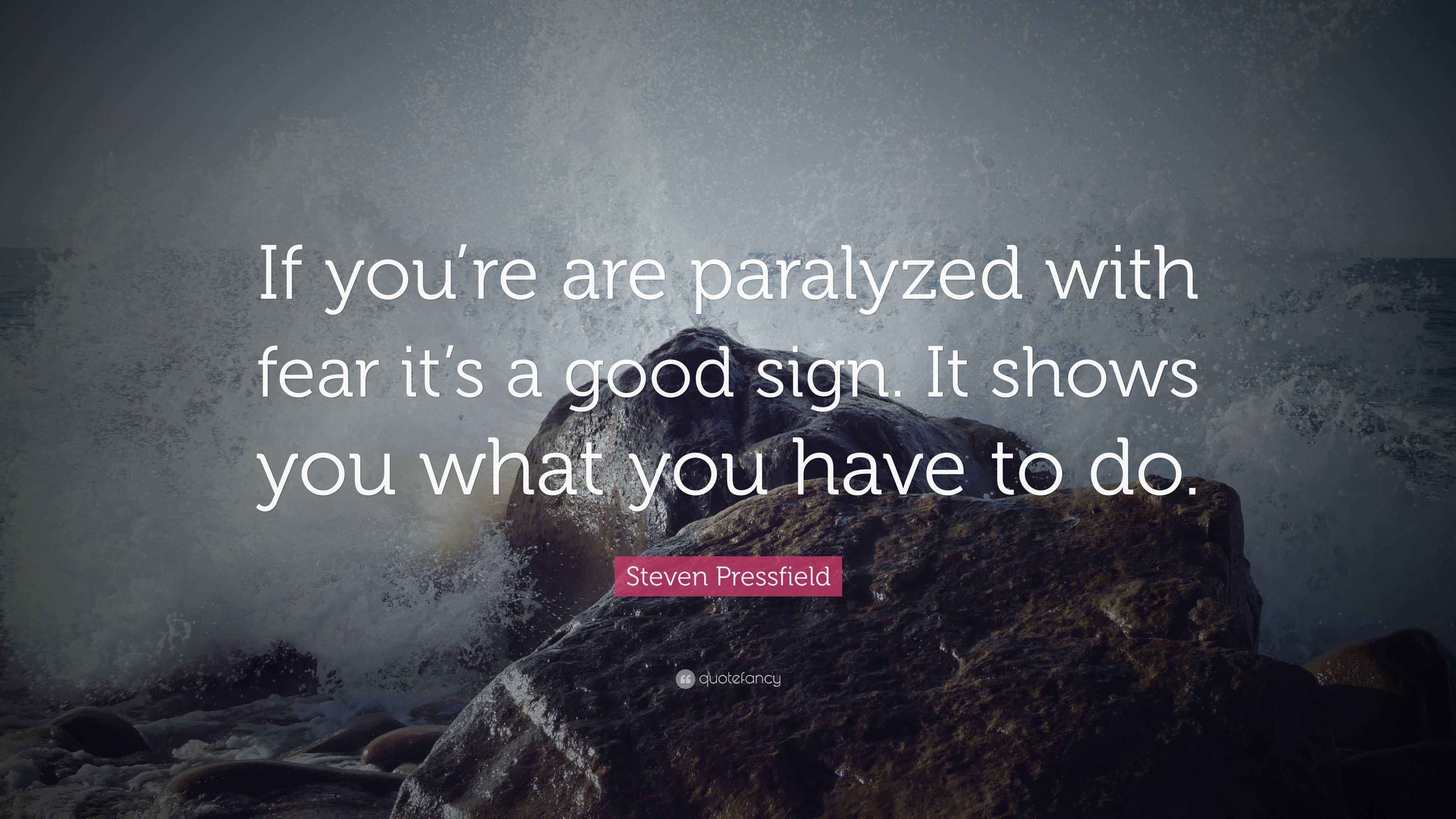 Steven Pressfield Quote “If you’re are paralyzed with fear it’s a good