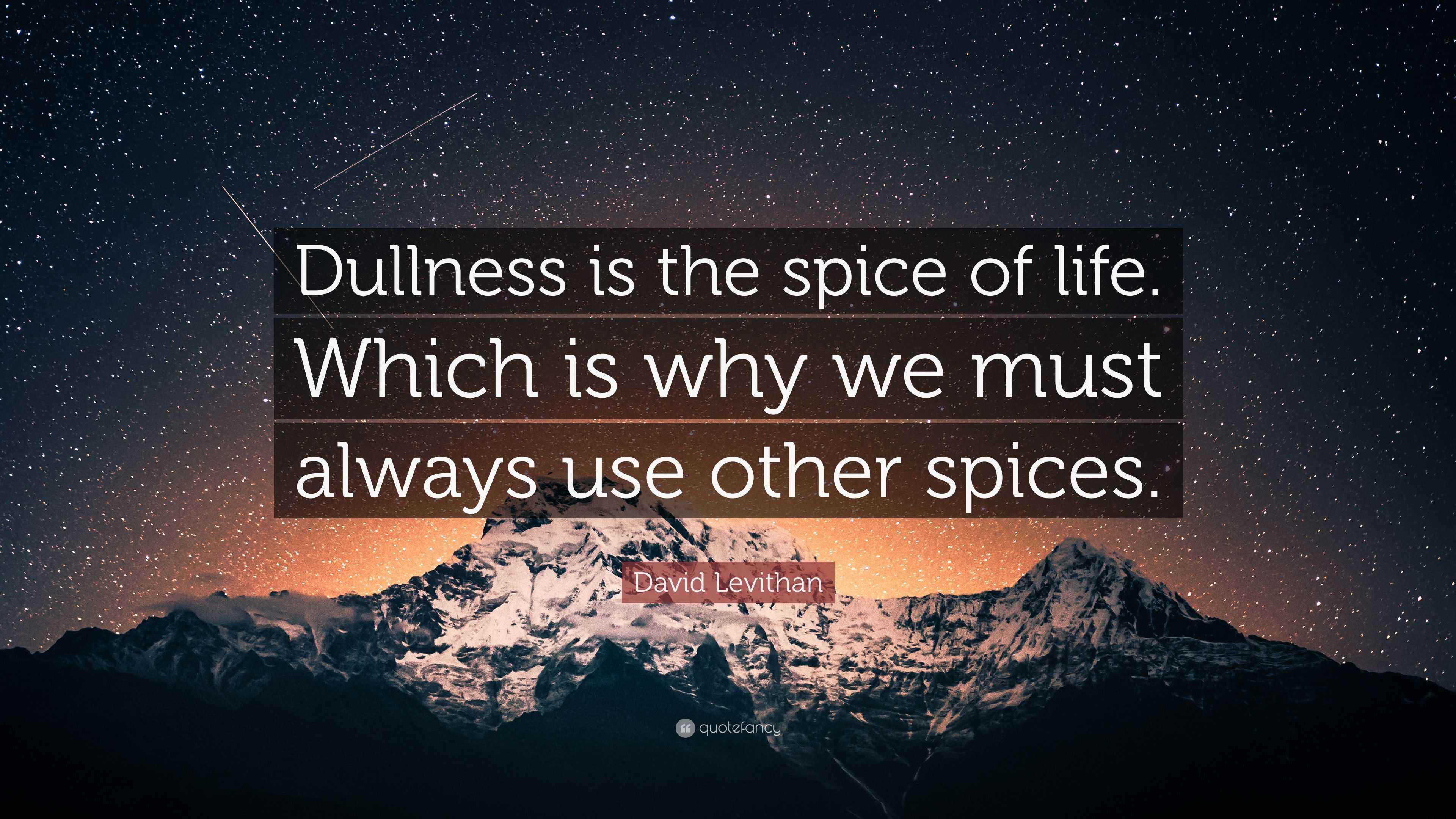 David Levithan Quote “Dullness is the spice of life. Which is why we