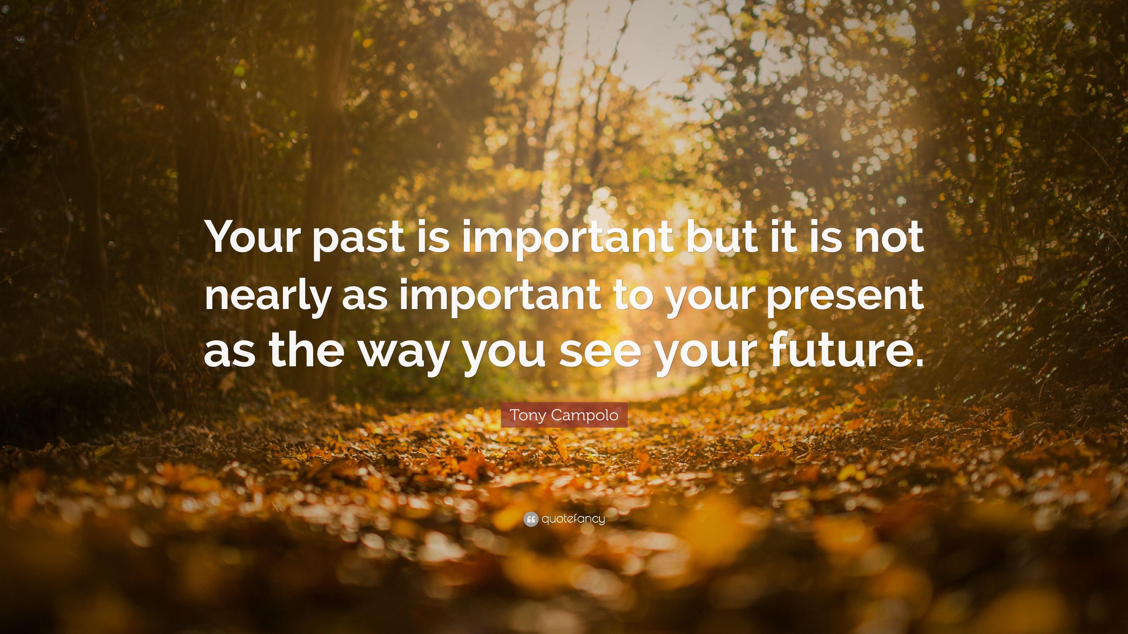 Tony Campolo Quote: “Your past is important but it is not nearly as ...