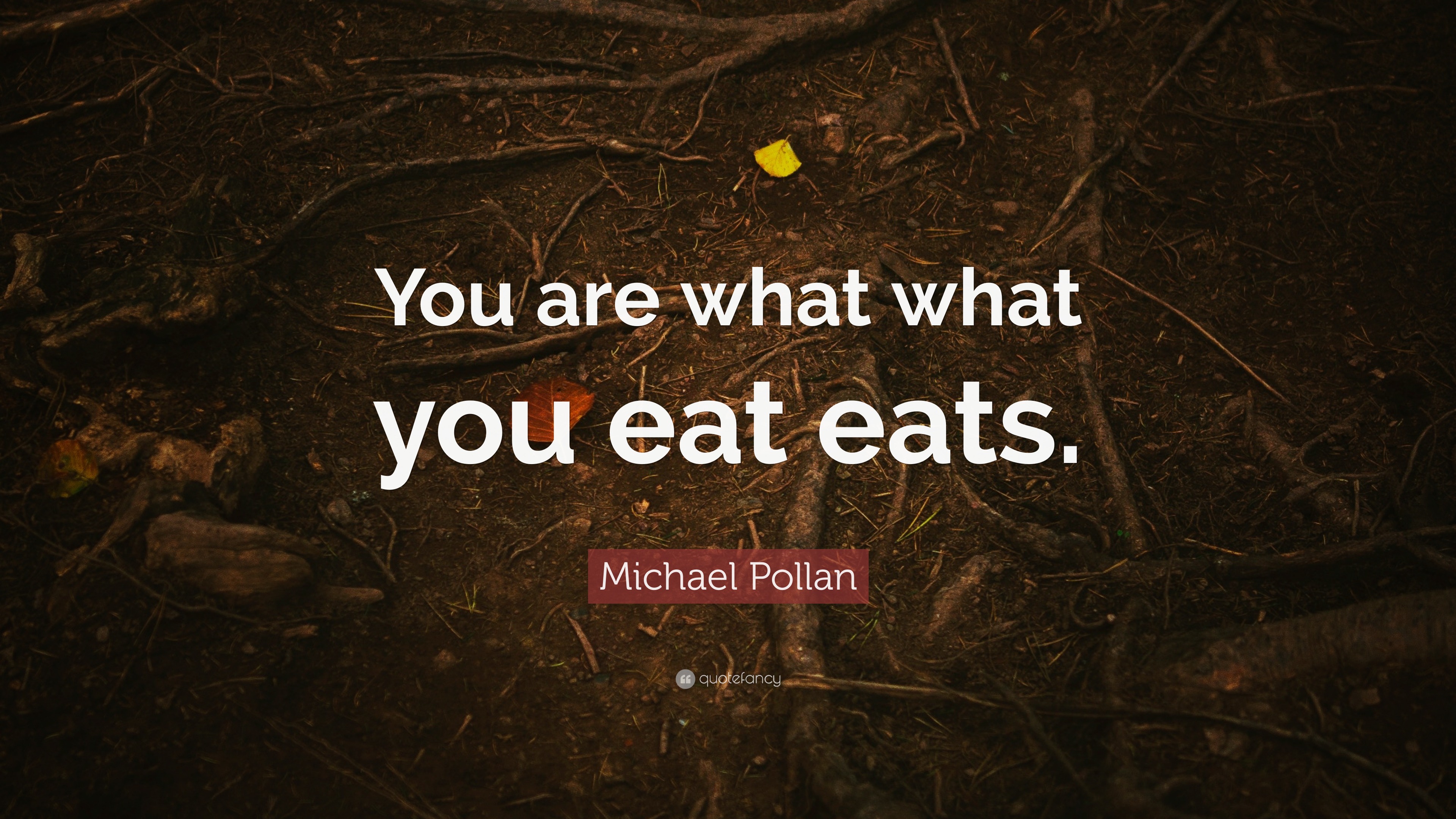 Michael Pollan Quote: “You are what what you eat eats.”