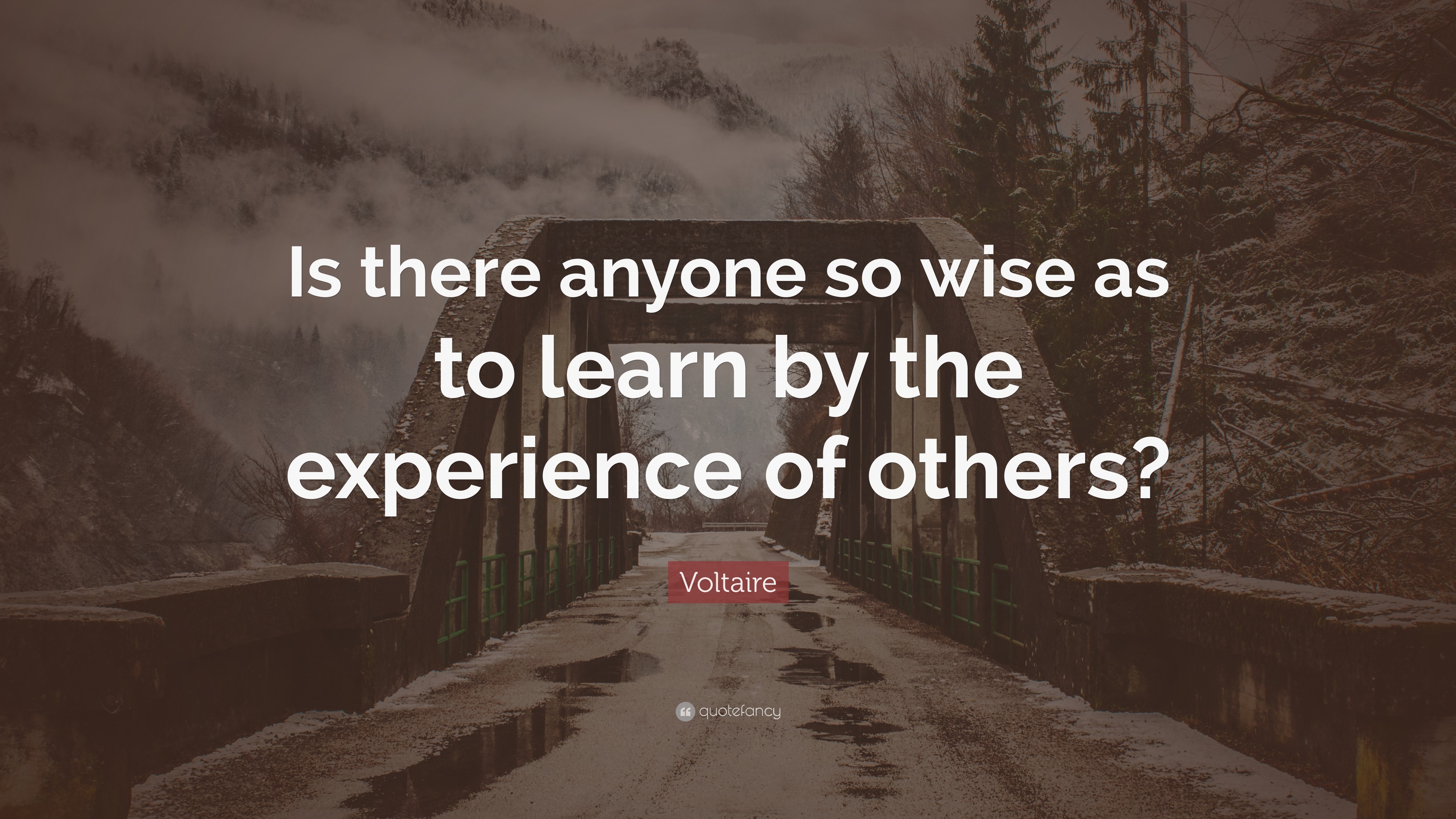 Voltaire Quote: “Is there anyone so wise as to learn by the experience ...