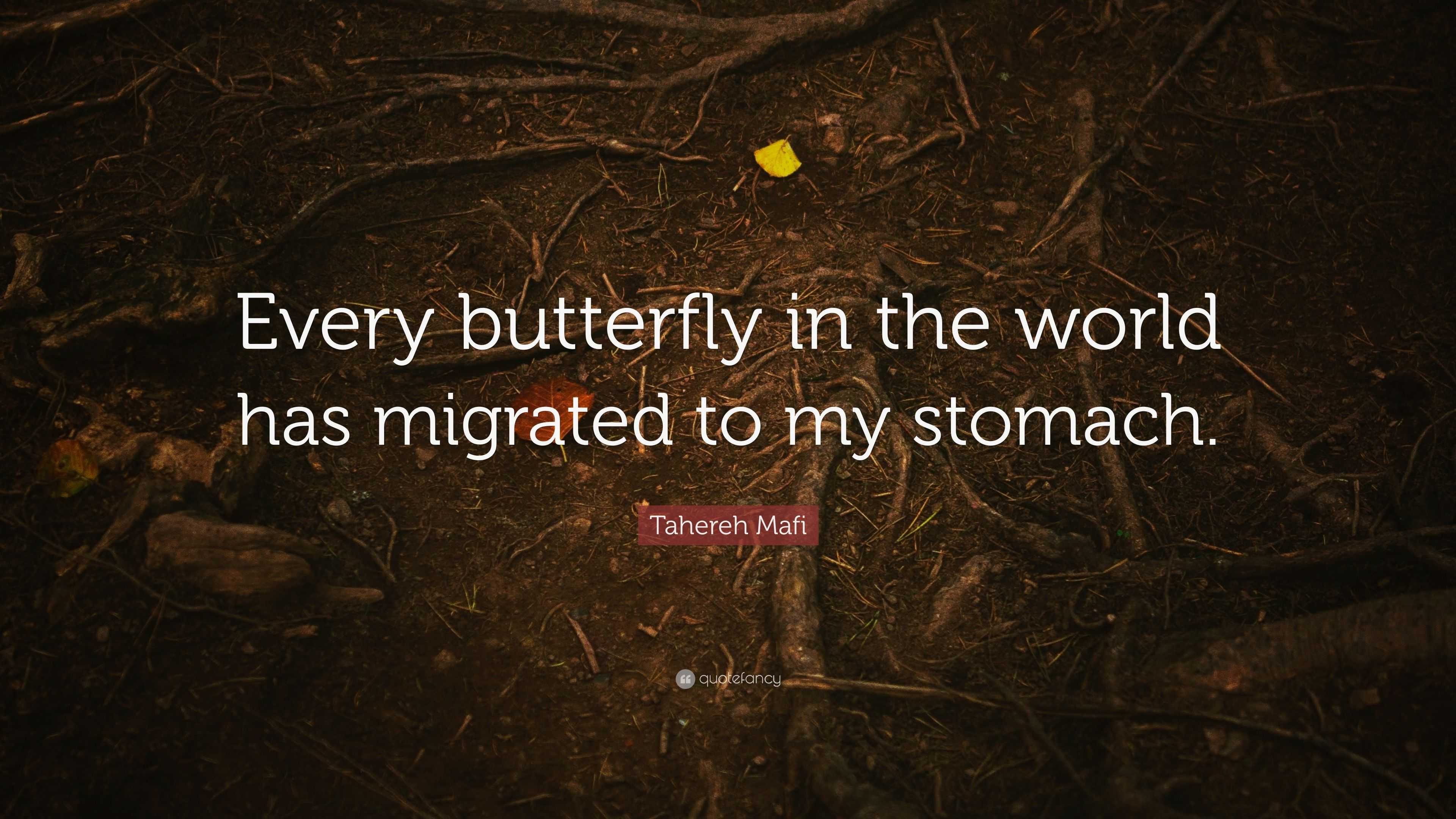 ALL MY LOVE POEMS - by David Gate - A Rebellion of Care, image size:3840x2160