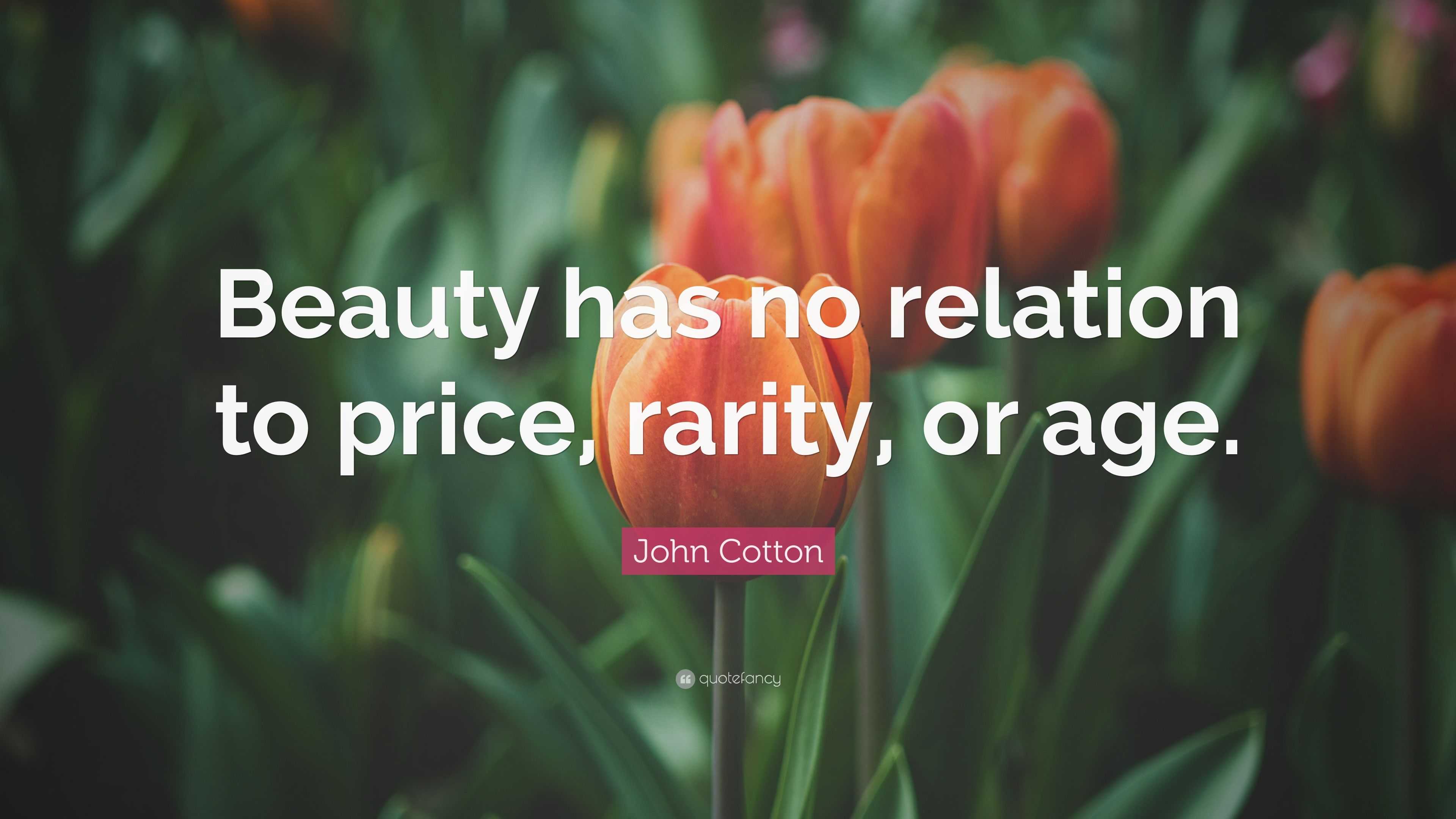 John Cotton Quote “beauty Has No Relation To Price Rarity Or Age ”