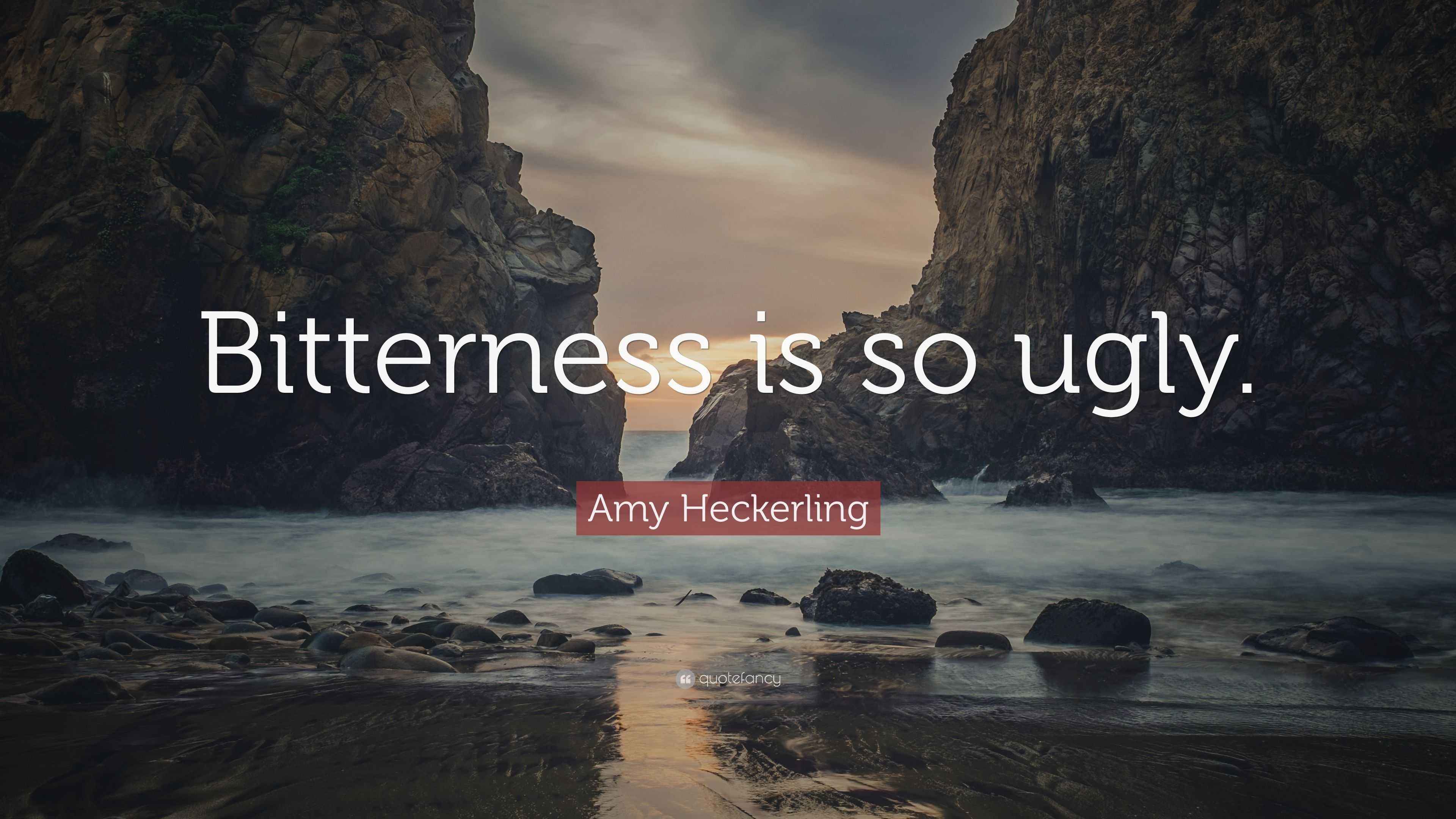 Amy Heckerling Quote: “Bitterness is so ugly.”