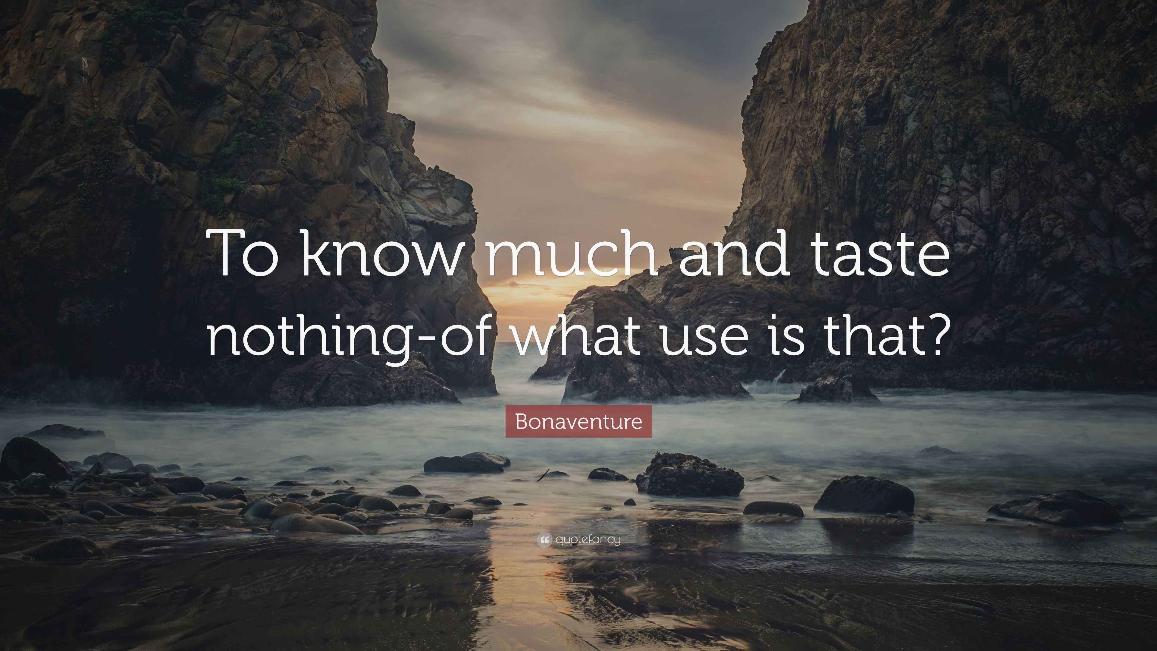 Bonaventure Quote “To know much and taste nothingof what use is that?”