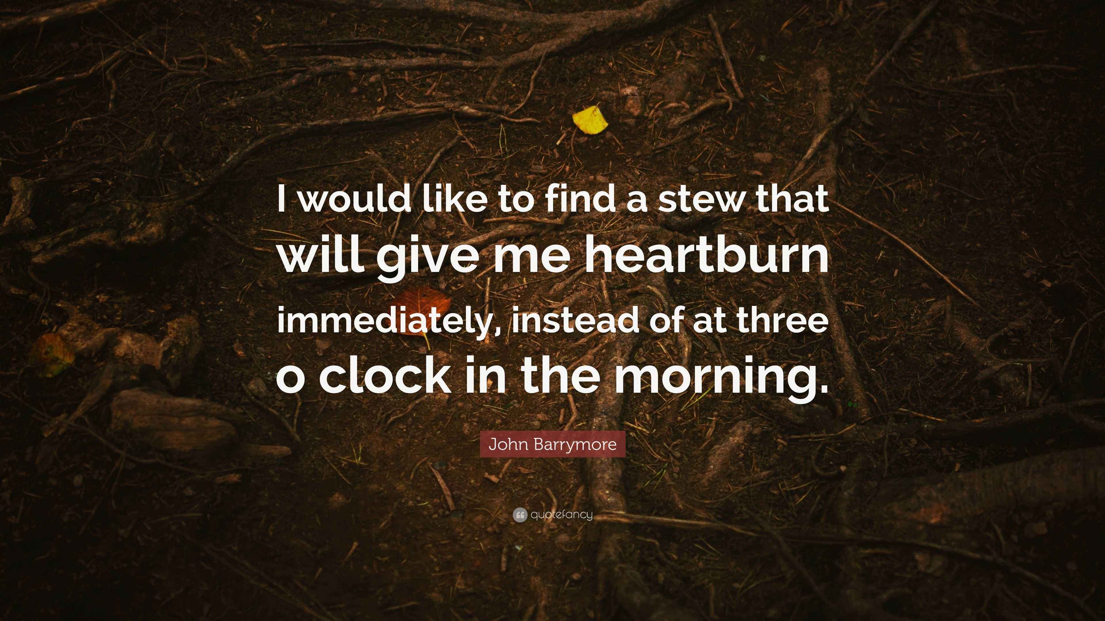 John Barrymore Quote “I would like to find a stew that will give me