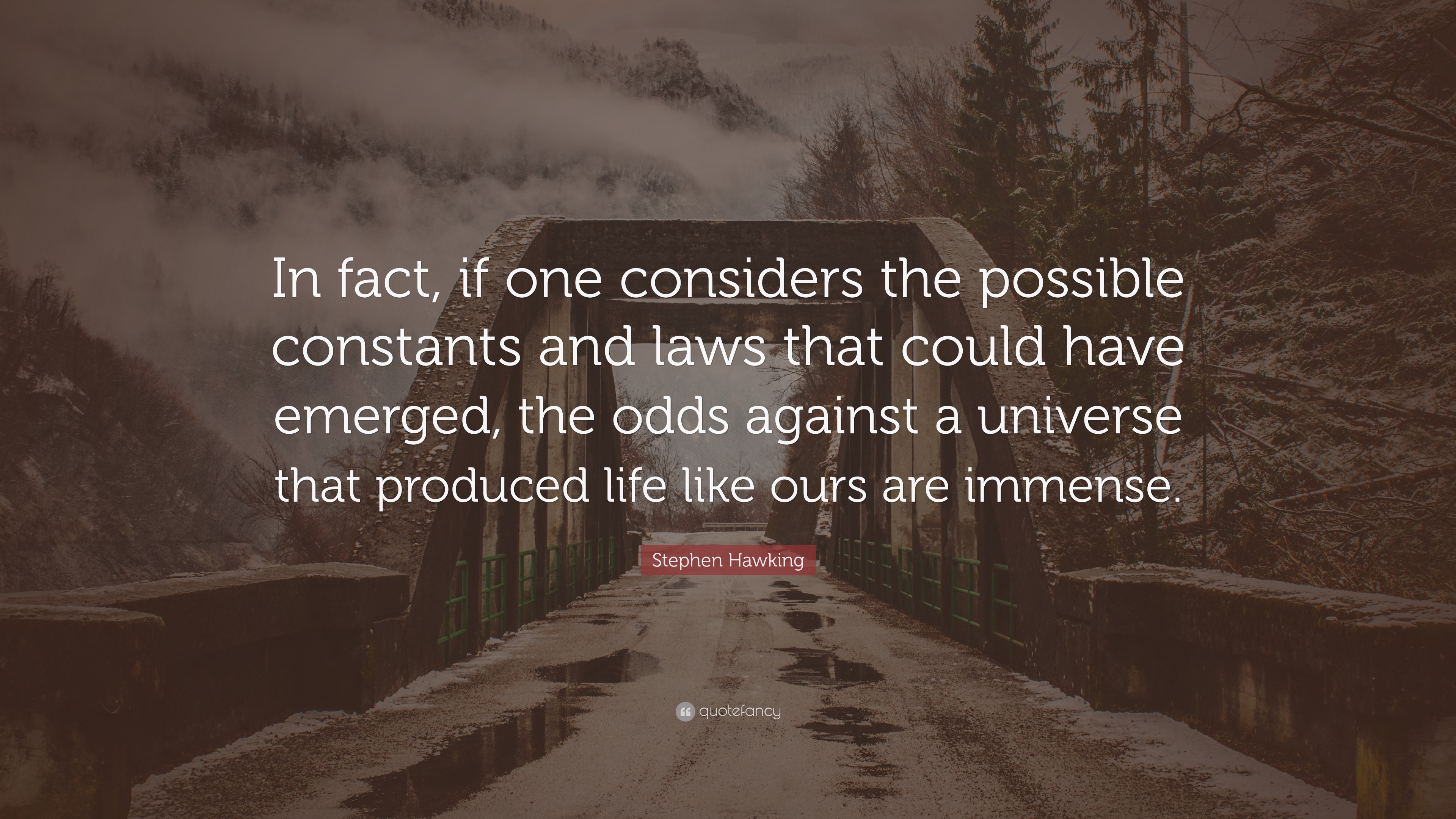 Stephen Hawking Quote: “In fact, if one considers the possible ...