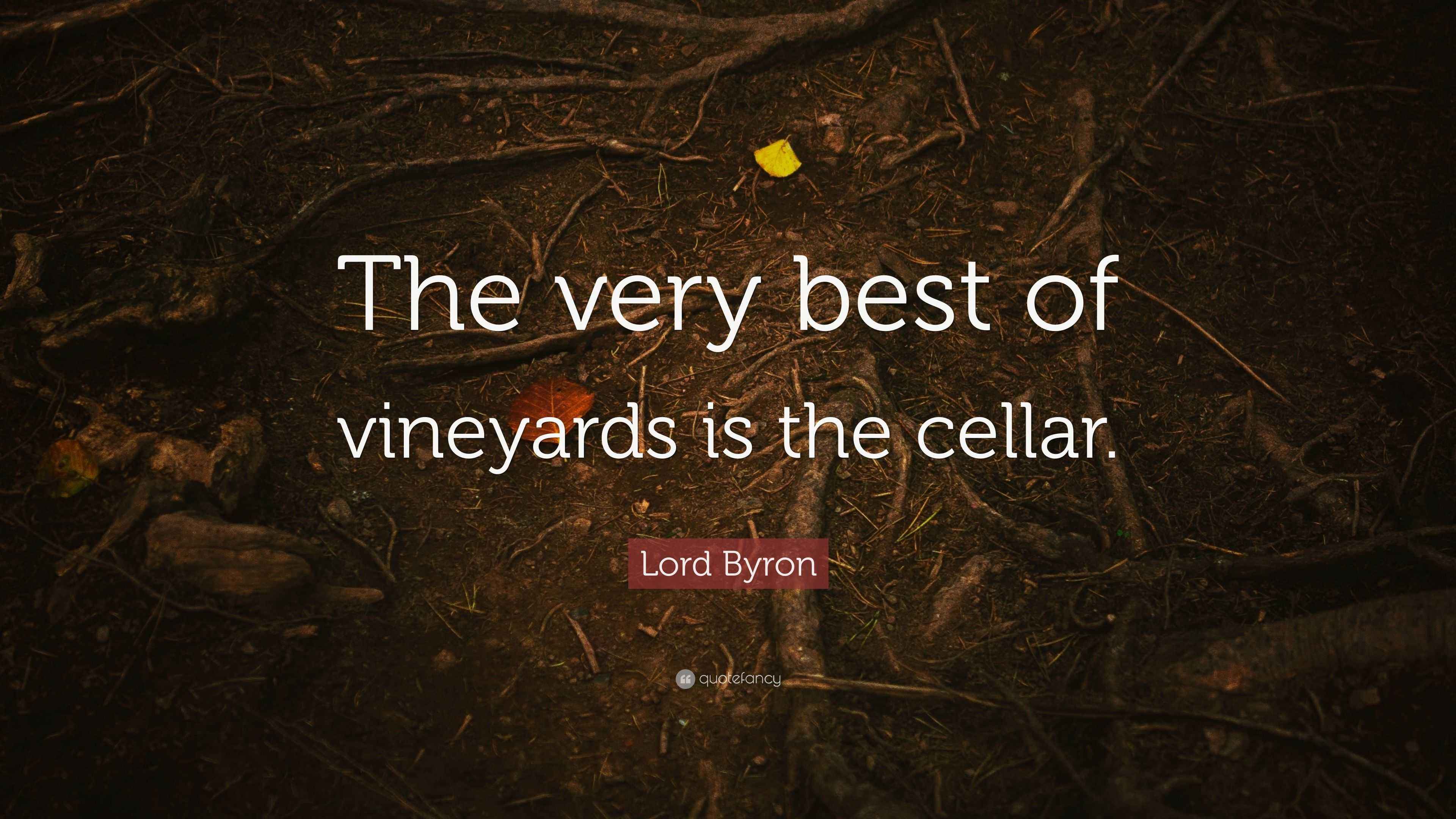 Lord Byron Quote “The very best of vineyards is the cellar.”