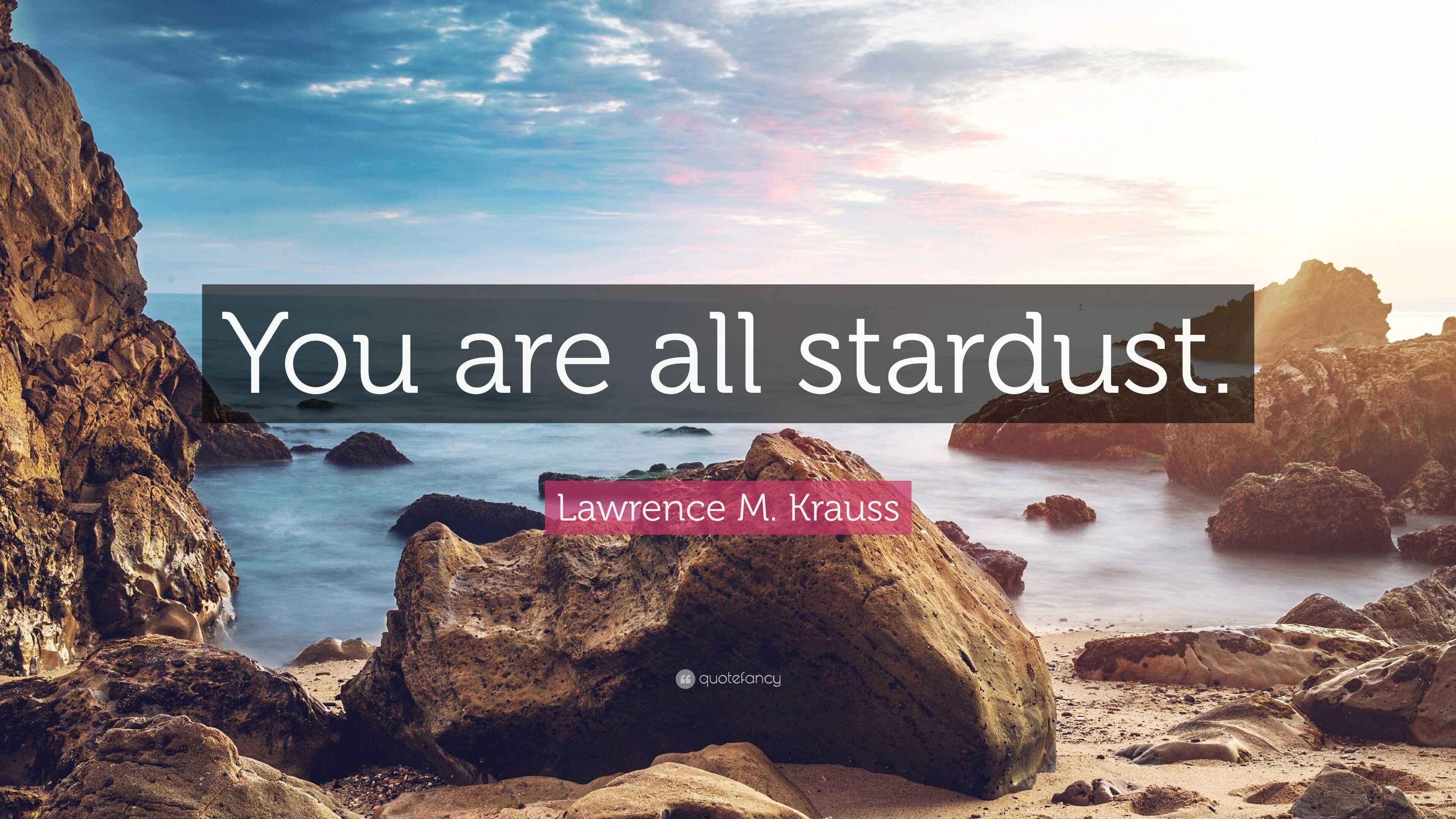 Lawrence M. Krauss Quote: “You are all stardust.”