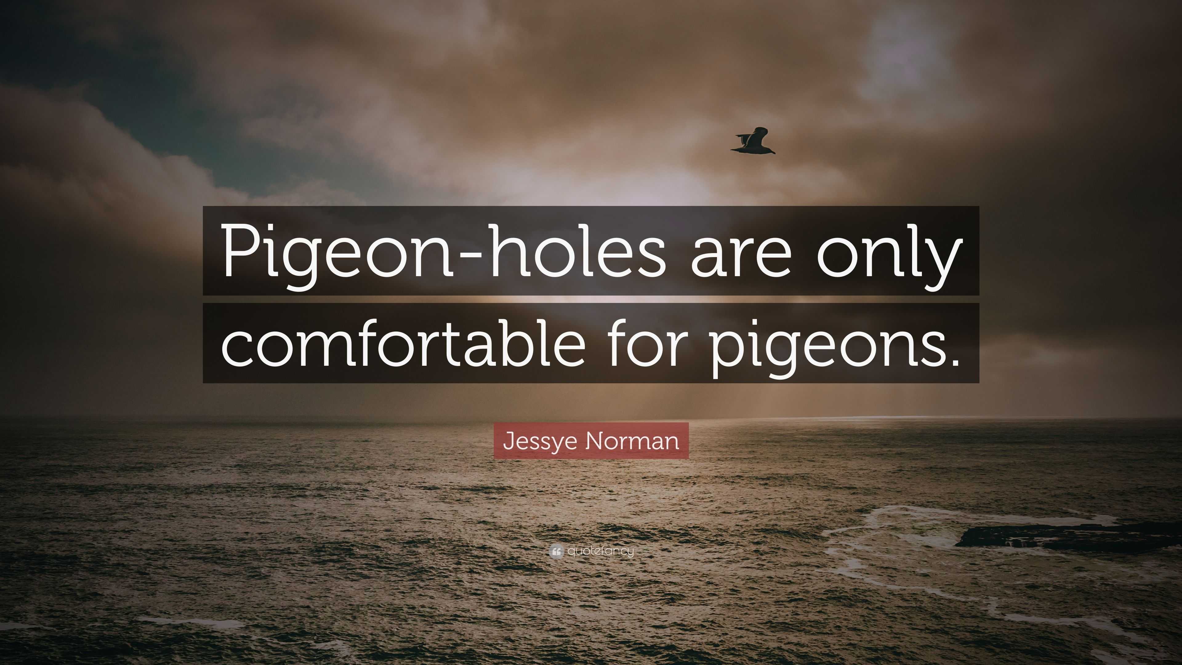 Jessye Norman Quote “Pigeonholes are only comfortable for pigeons.”