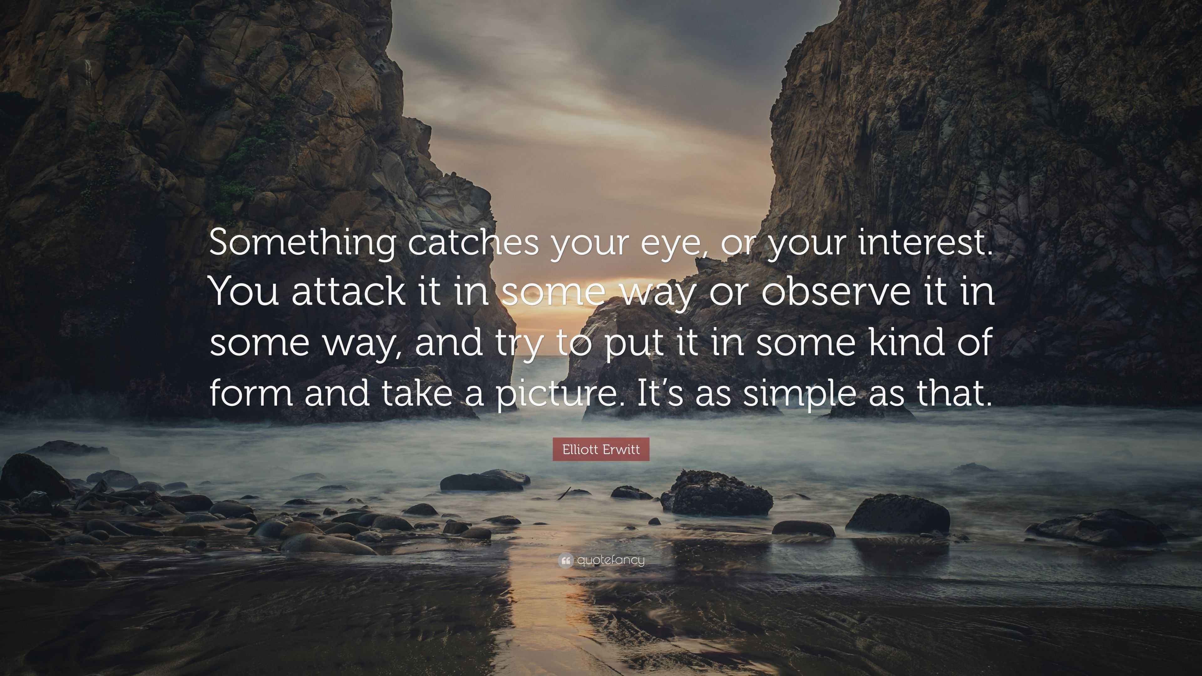 Elliott Erwitt Quote “Something catches your eye, or your interest