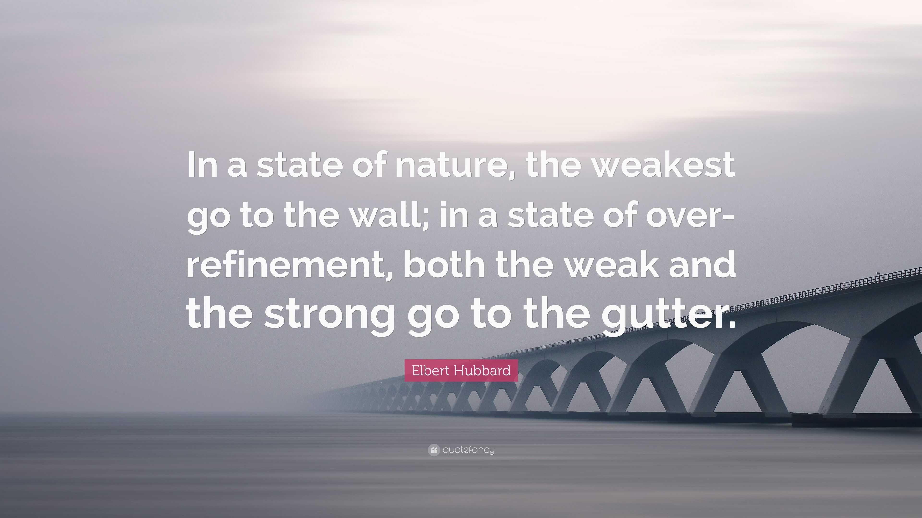 Elbert Hubbard Quote “In a state of nature, the weakest go to the wall