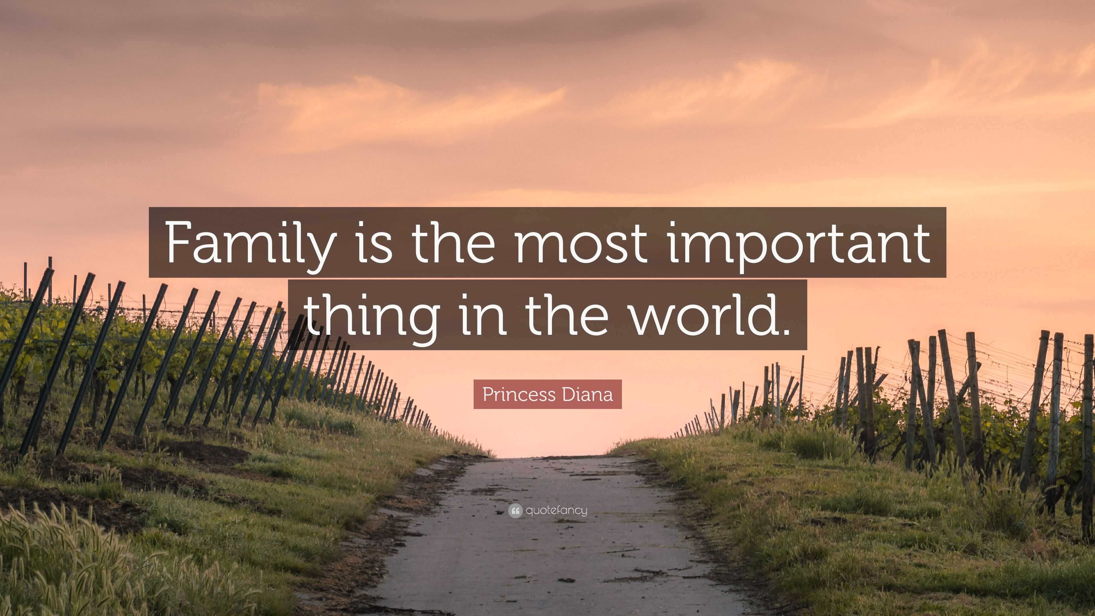 essay family is the most important thing in the world