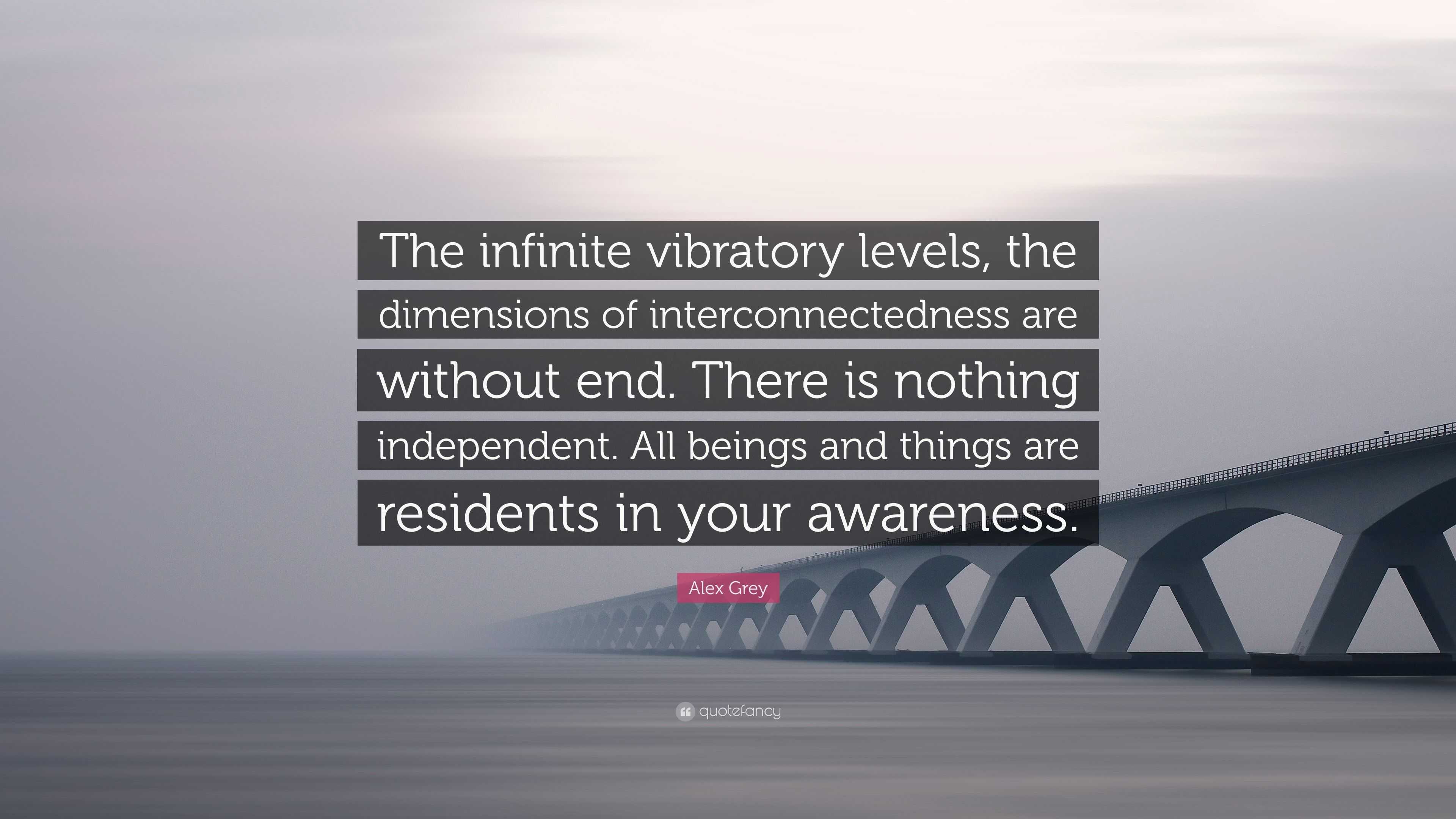 Alex Grey Quote: “The infinite vibratory levels, the dimensions of  interconnectedness are without end. There is nothing independent. All b...”