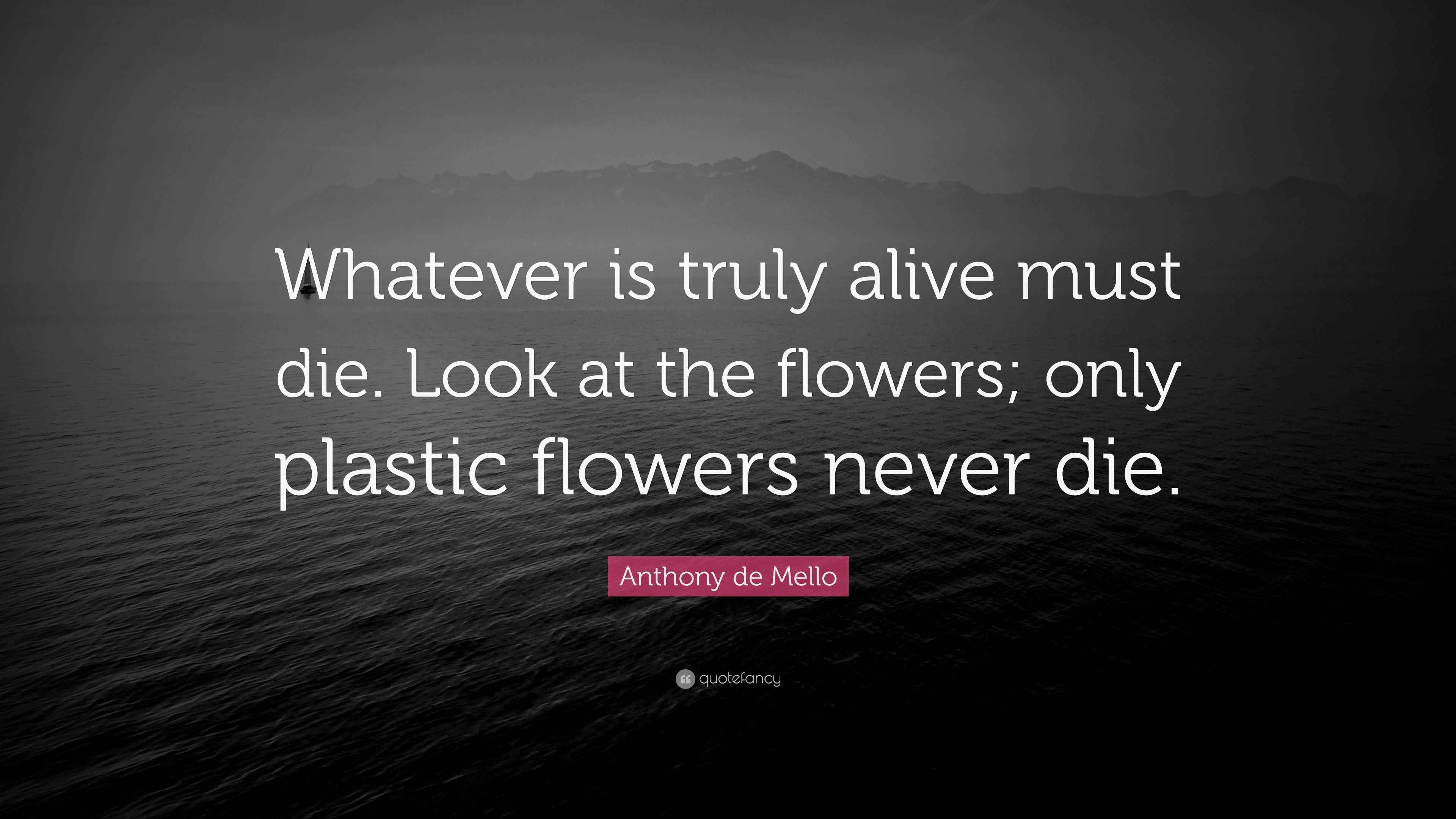 Anthony de Mello Quote “Whatever is truly alive must die. Look at the