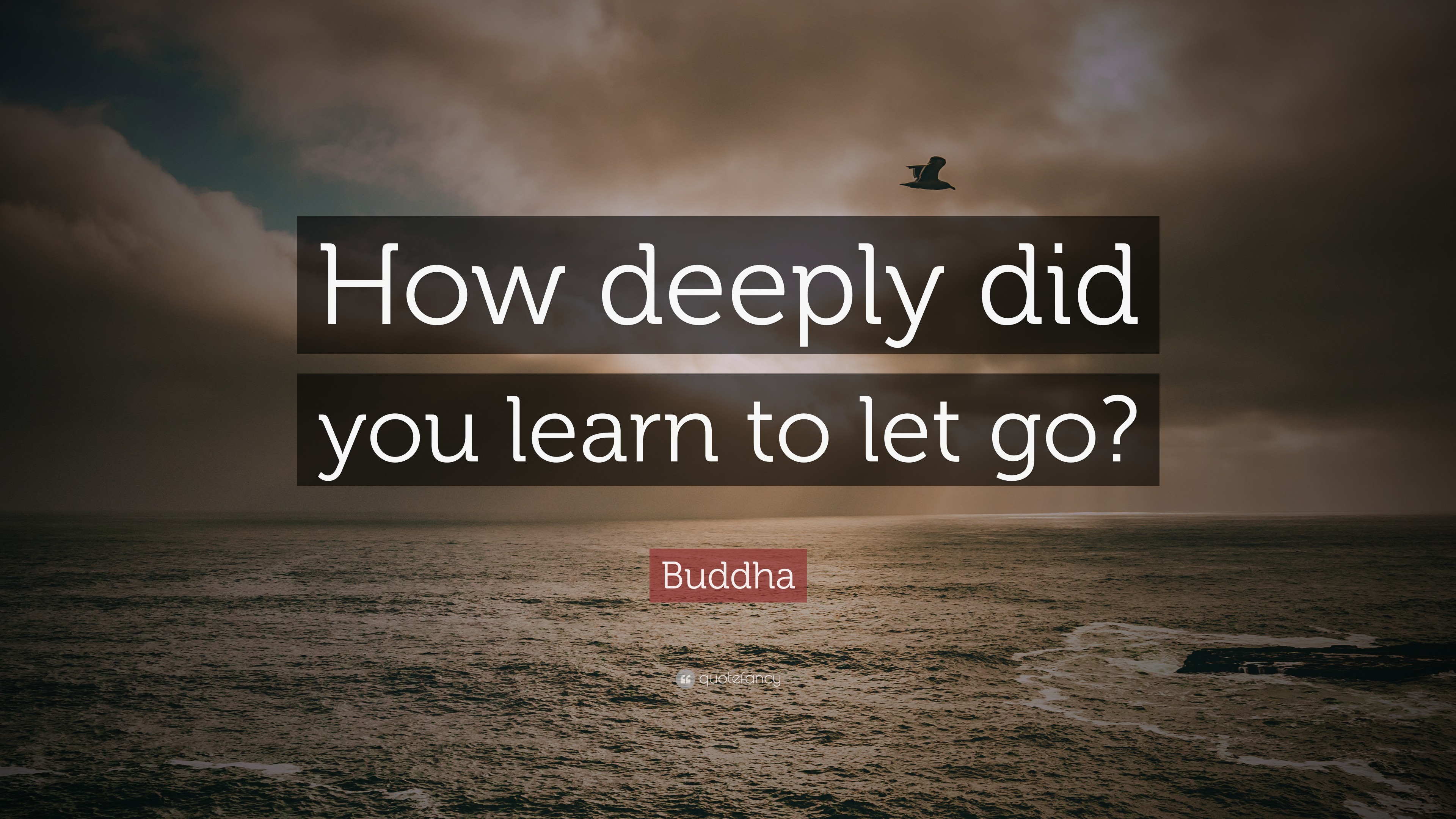 Buddha Quote: “How deeply did you learn to let go?”