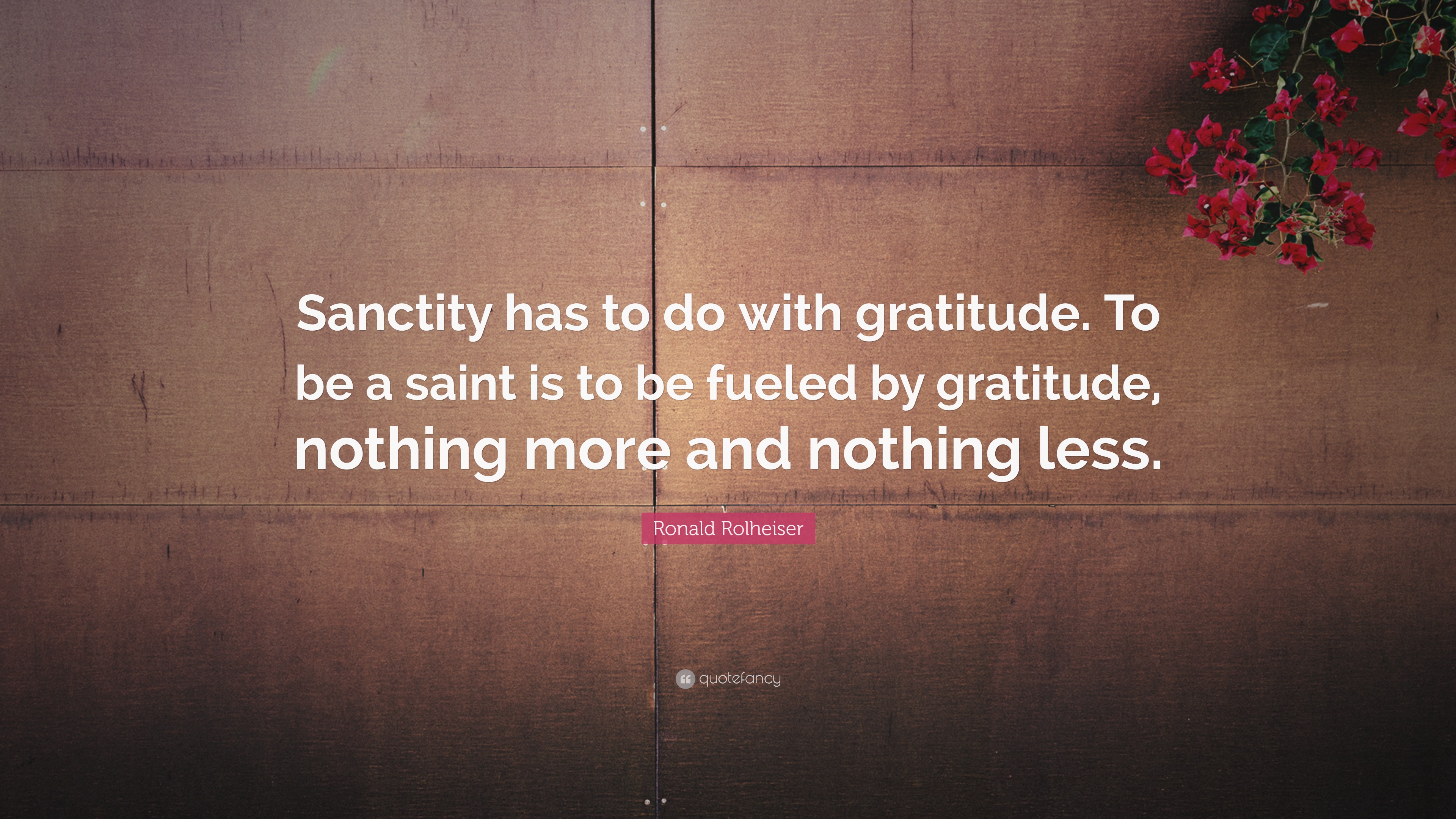 Ronald Rolheiser Quote “Sanctity has to do with gratitude. To be a