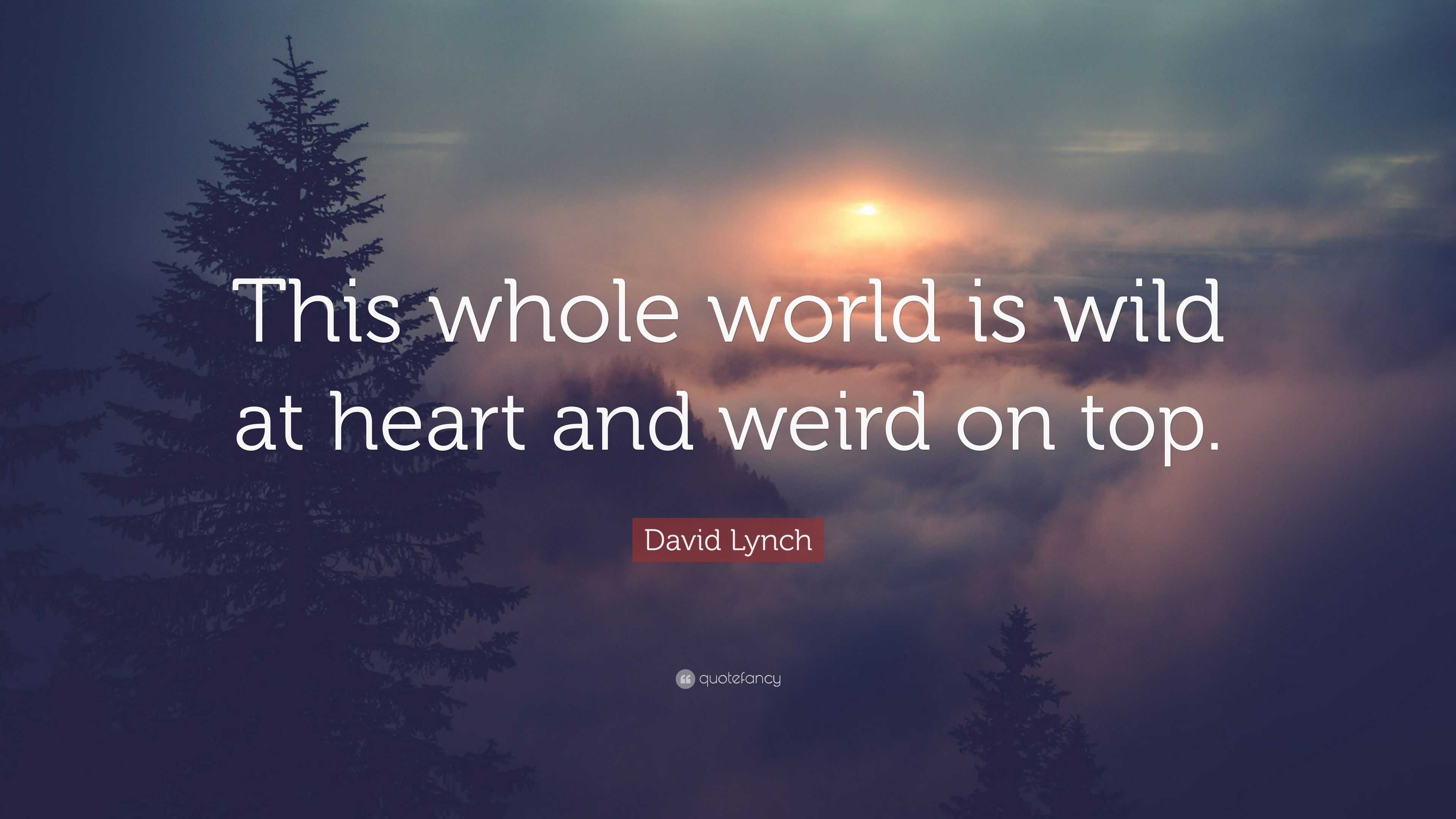 david lynch font wild at heart