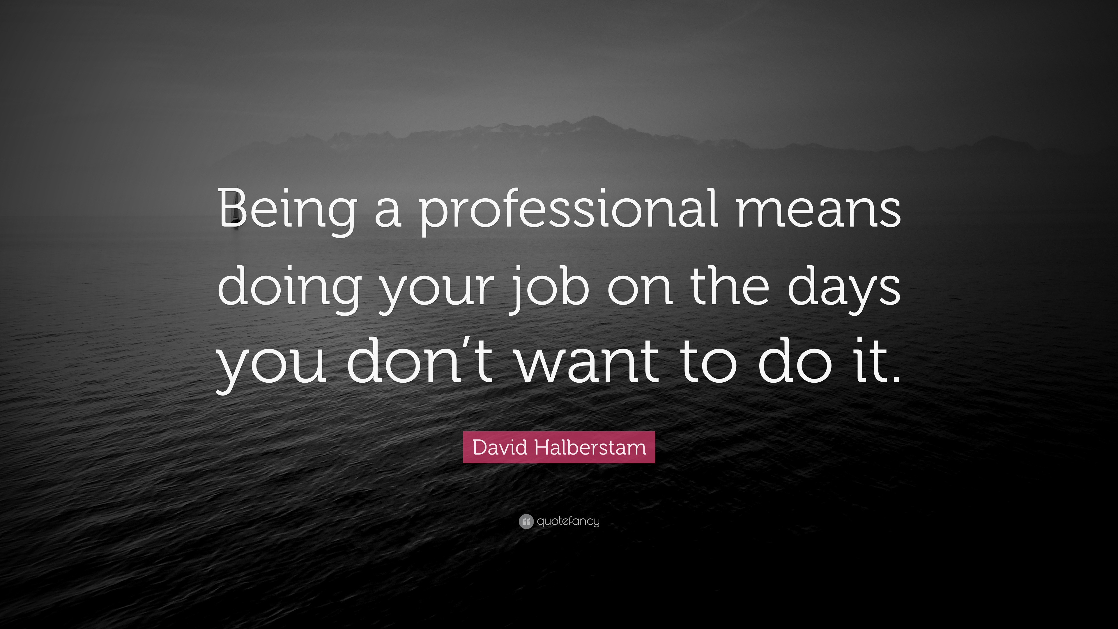 David Halberstam Quote “Being a professional means doing