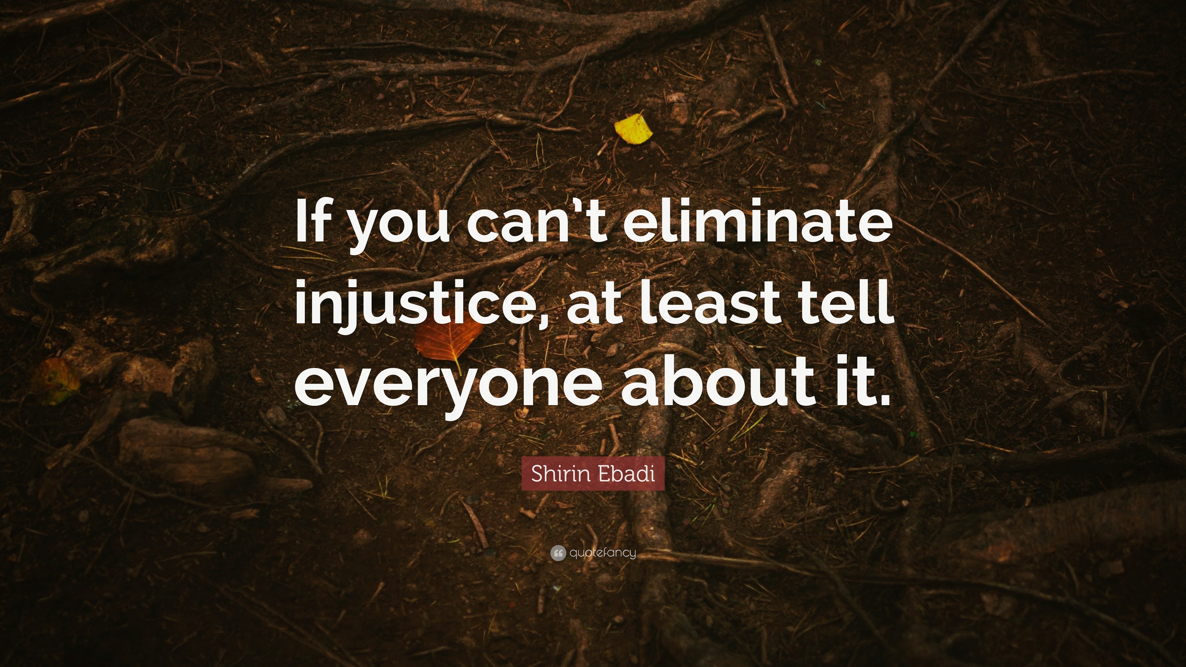 Shirin Ebadi Quote: “If you can’t eliminate injustice, at least tell ...