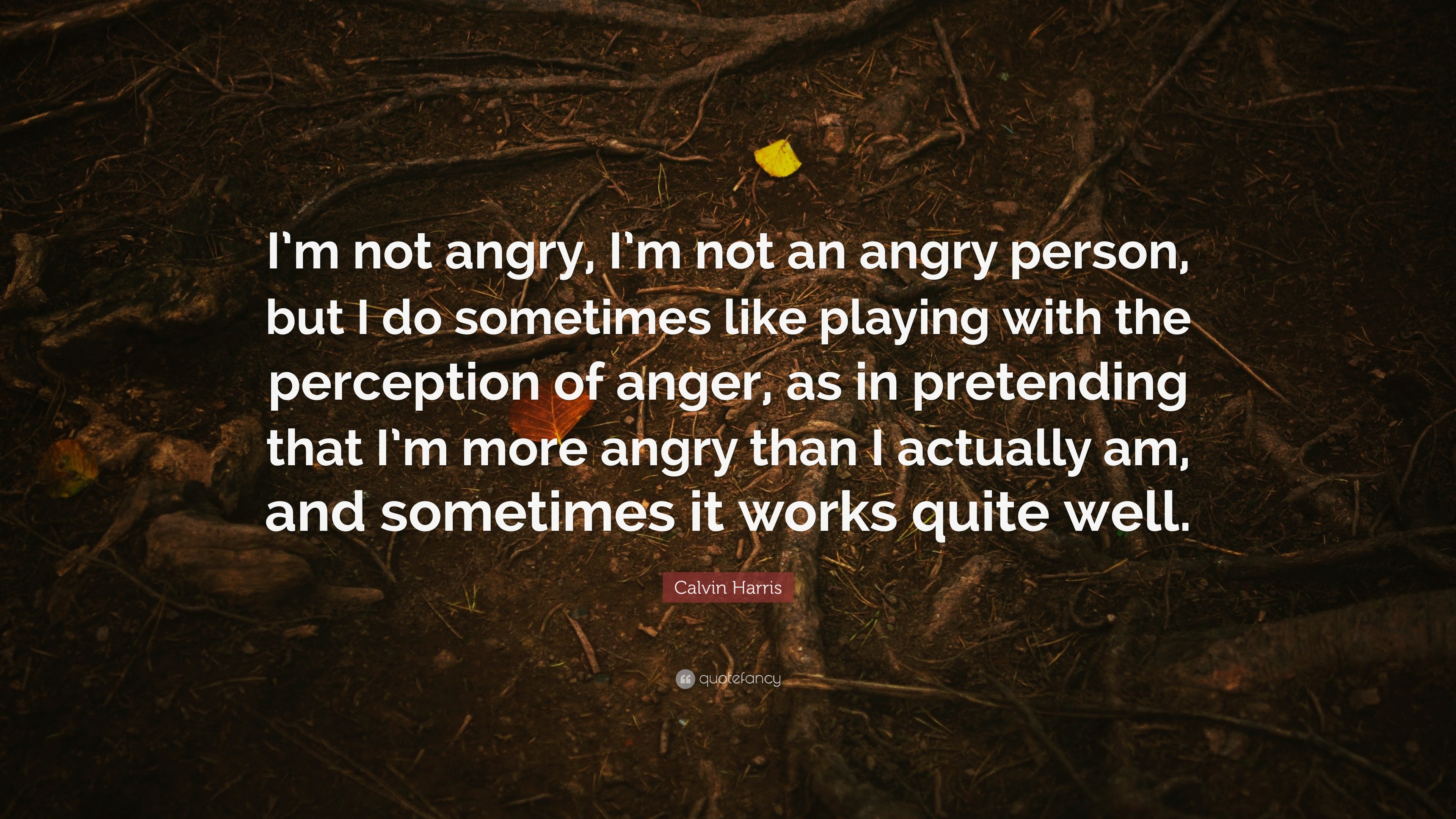 Quotes about angry person