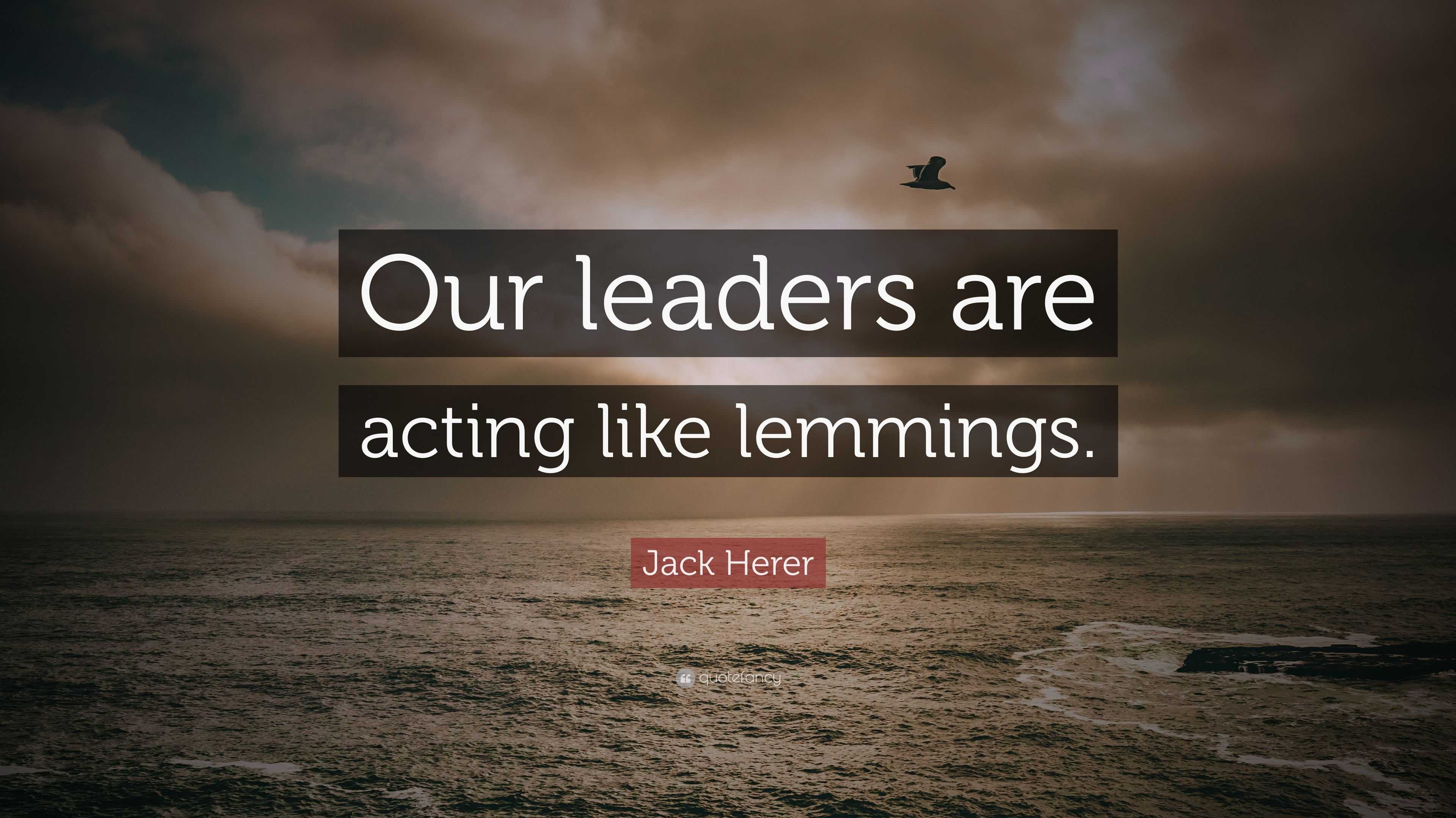 Jack Herer Quote: “Our leaders are acting like lemmings.”