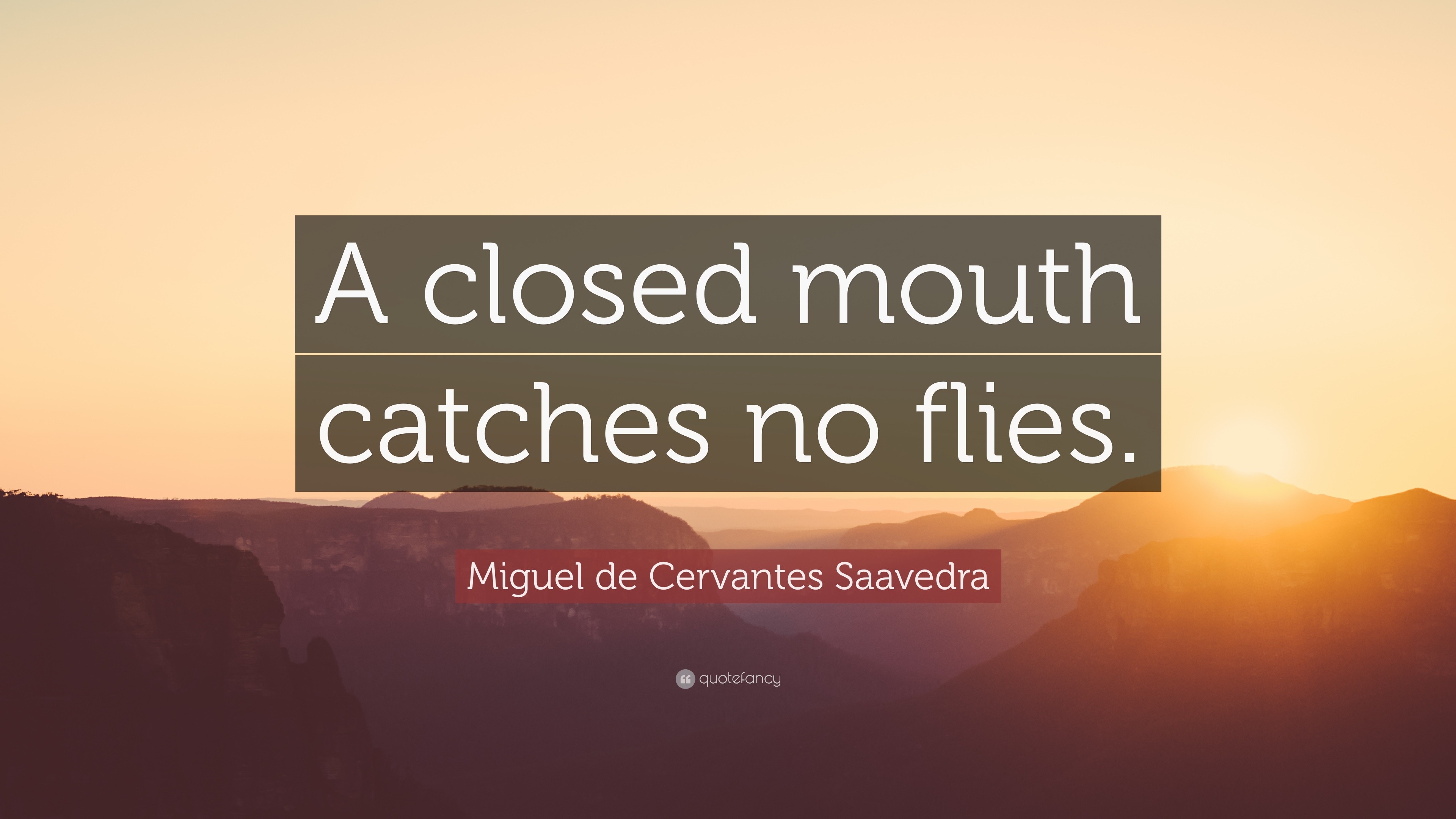 Miguel de Cervantes Saavedra Quote A closed mouth catches no flies