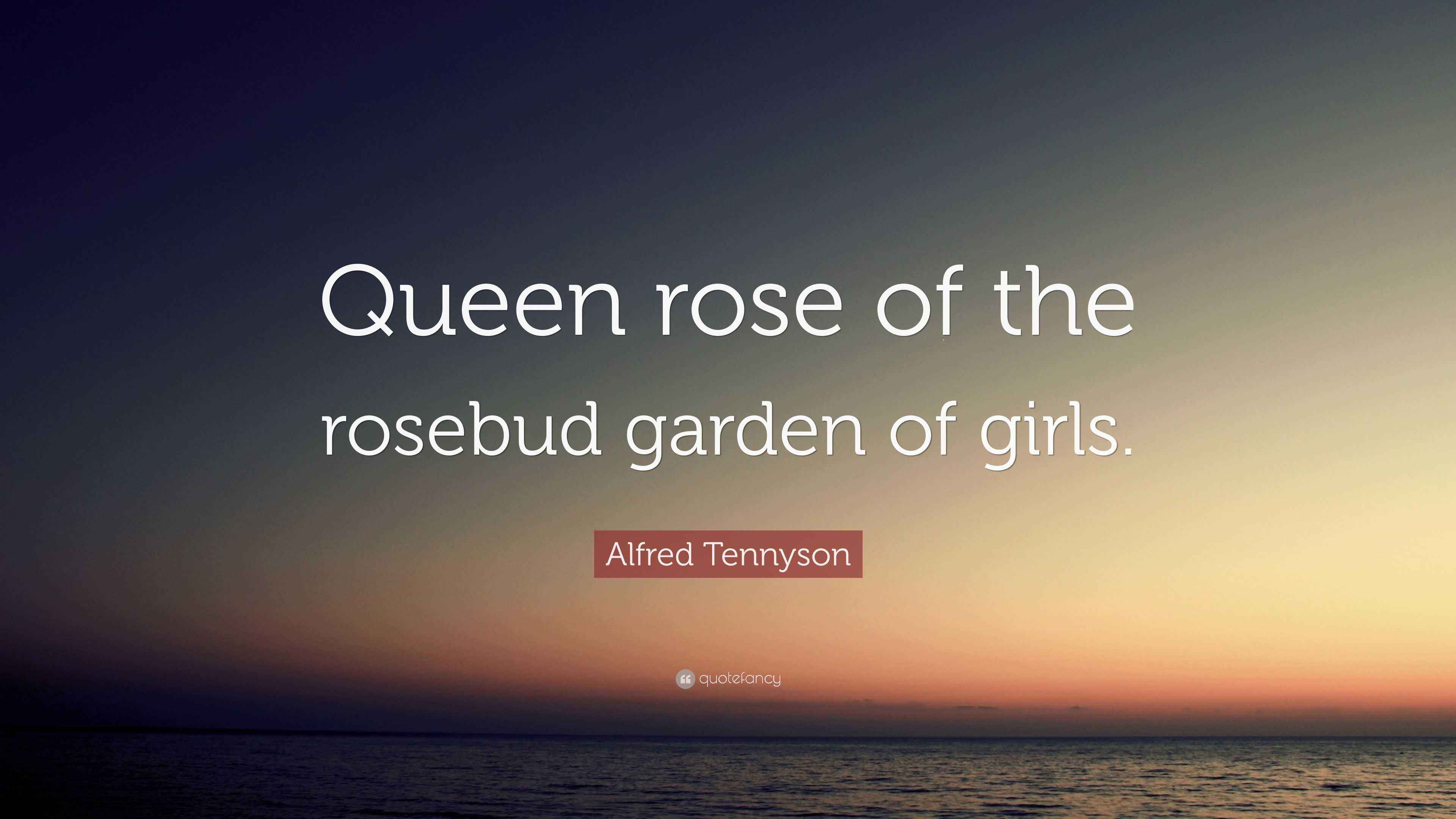 Alfred Tennyson Quote “Queen rose of the rosebud garden of girls.”