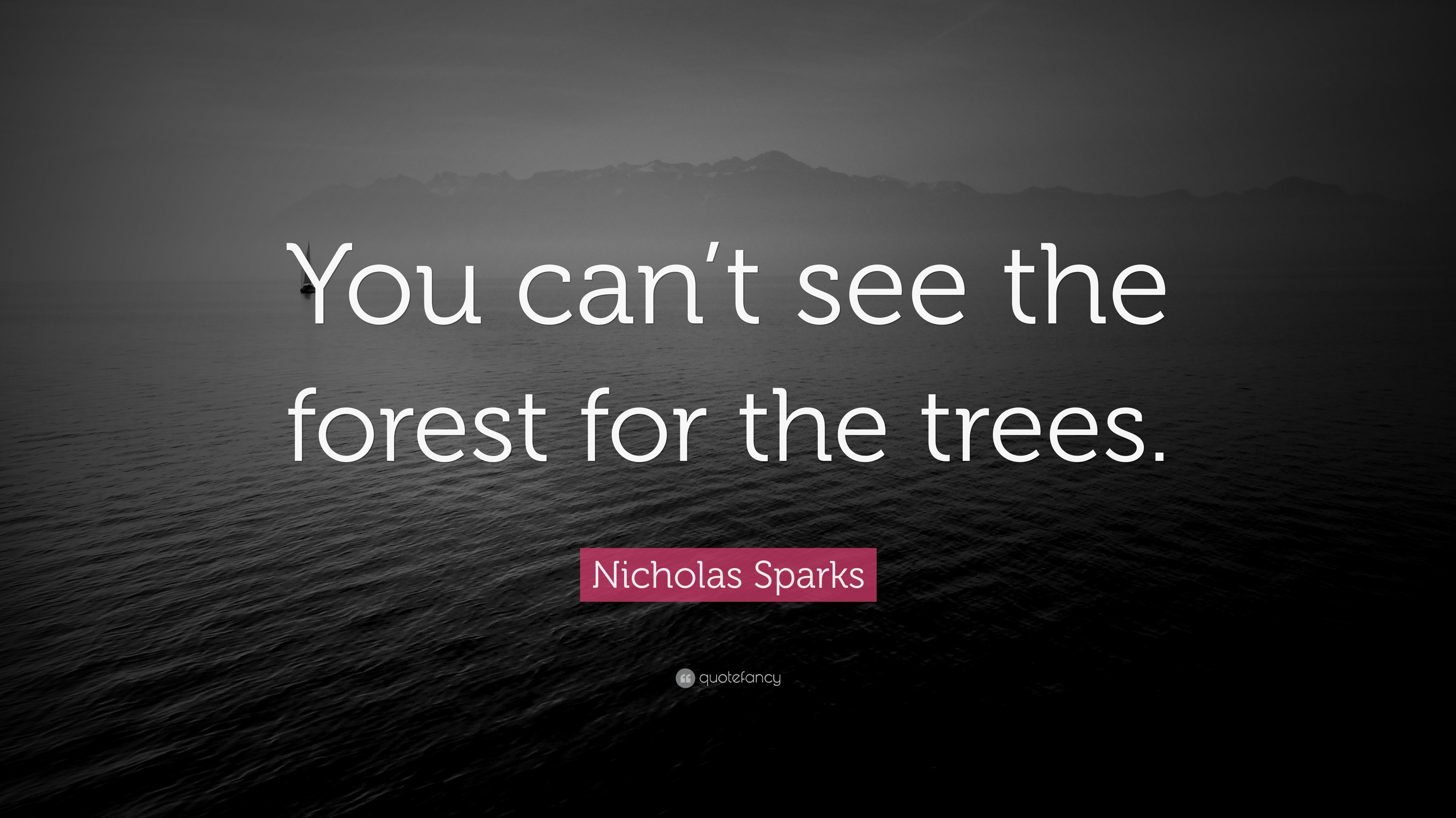 Nicholas Sparks Quote “You can’t see the forest for the trees.”