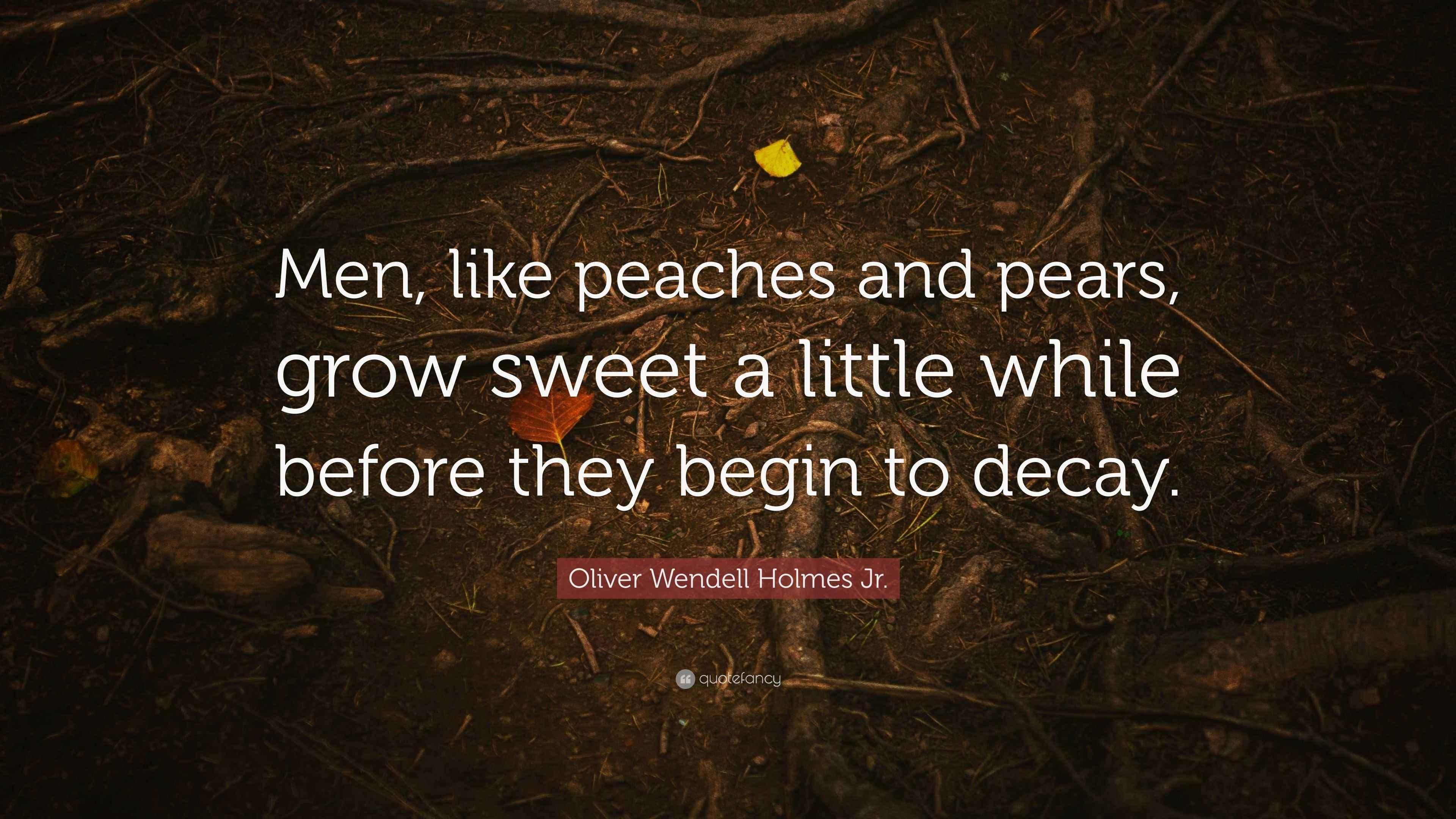 Oliver Wendell Holmes Jr. Quote: “Men, like peaches and pears, grow
