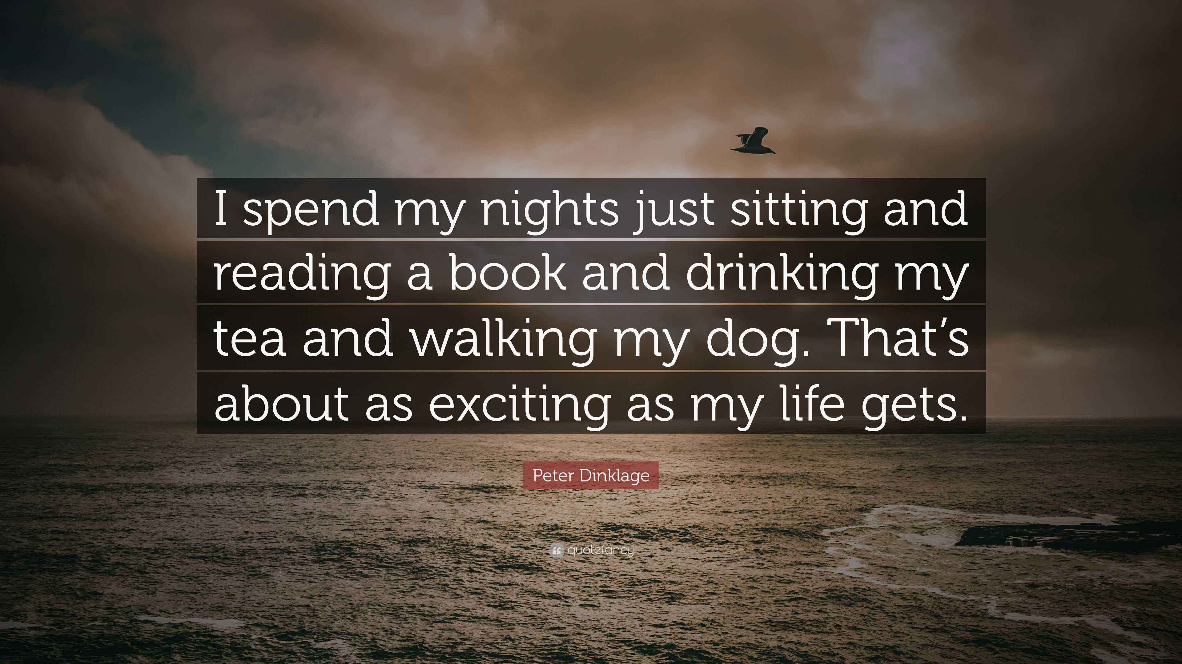 Peter Dinklage Quote: “I spend my nights just sitting and reading a