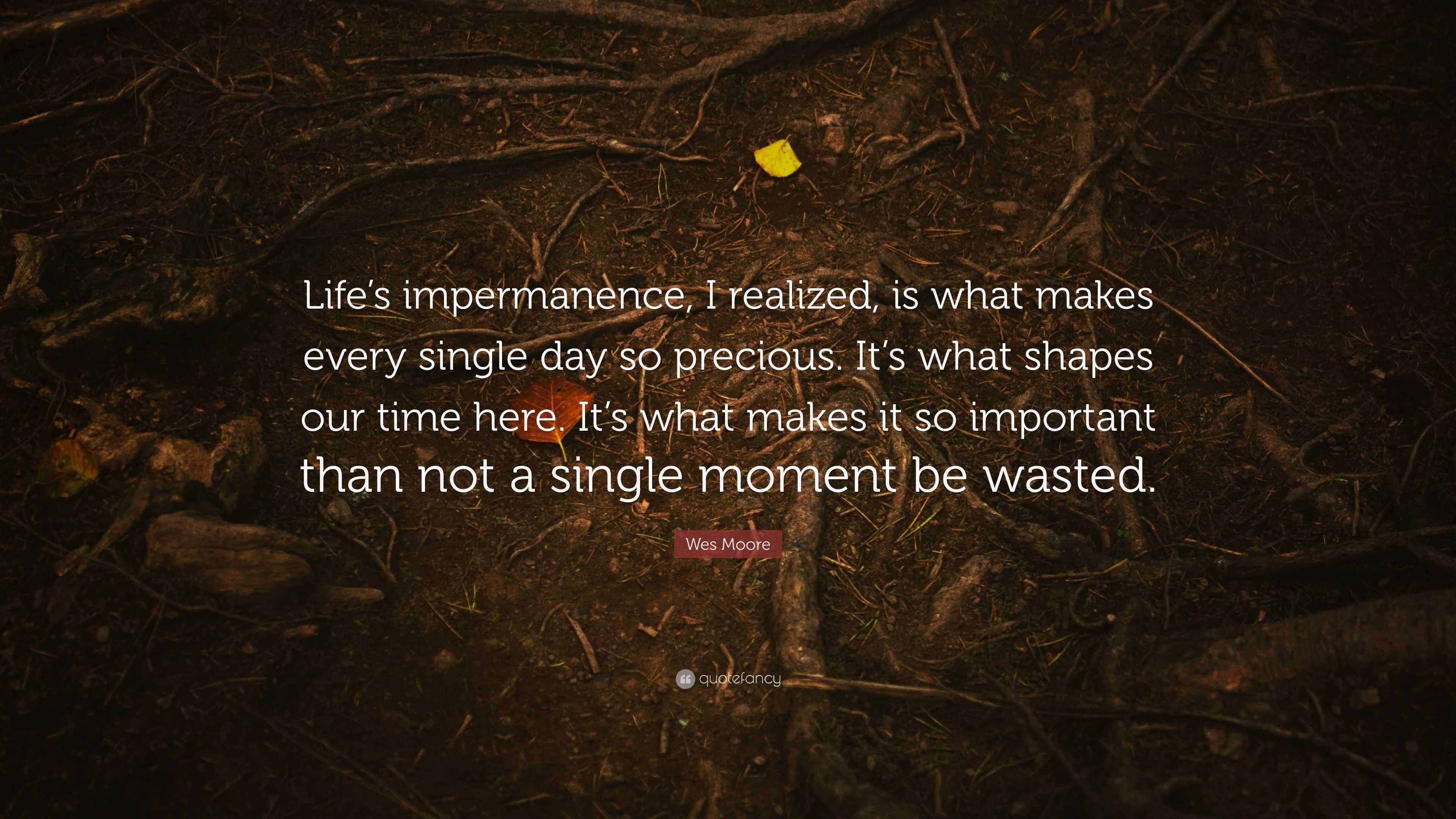 Wes Moore Quote: “Life’s impermanence, I realized, is what makes every