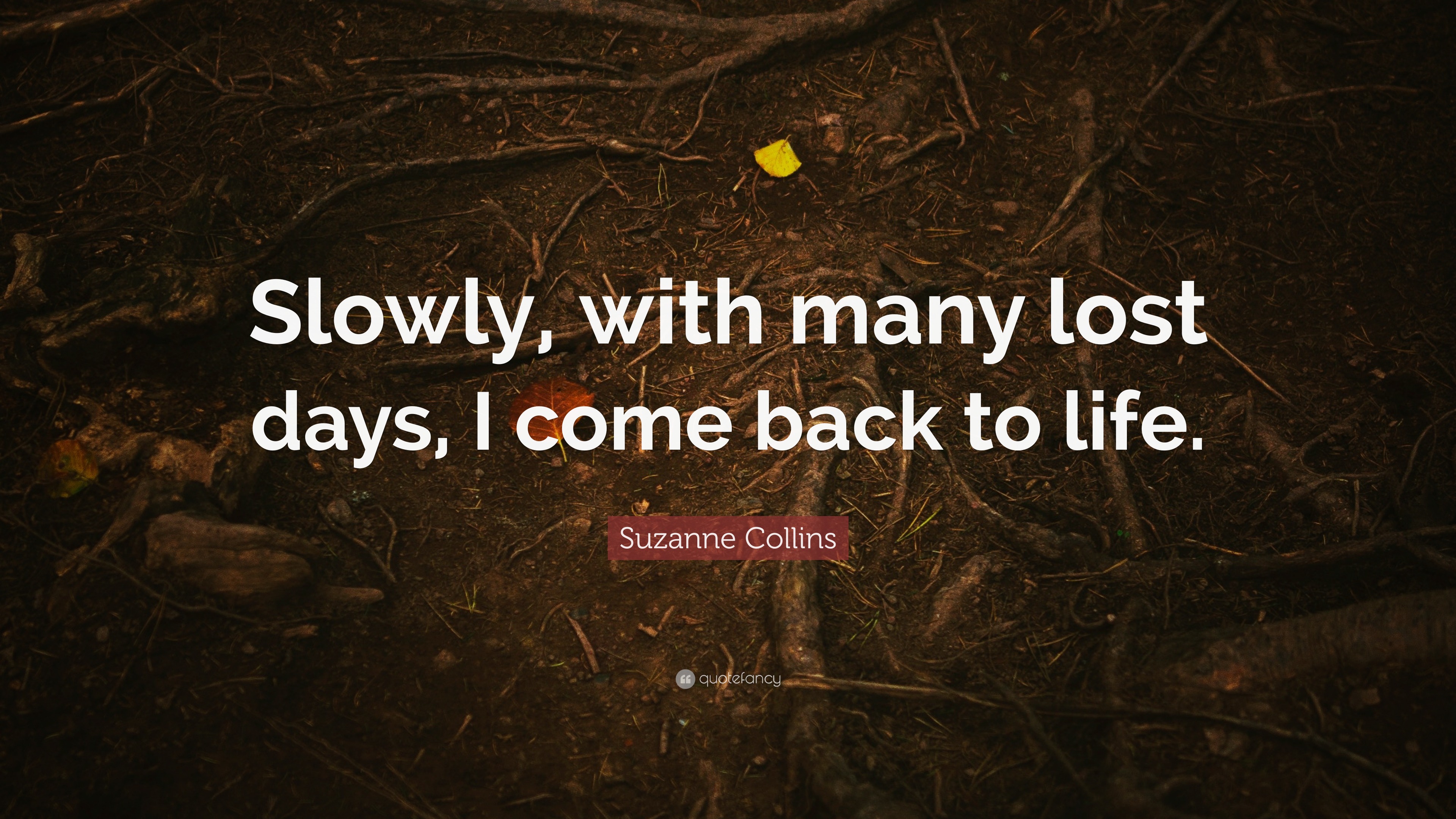 Suzanne Collins Quote Slowly With Many Lost Days I Come Back To Life 