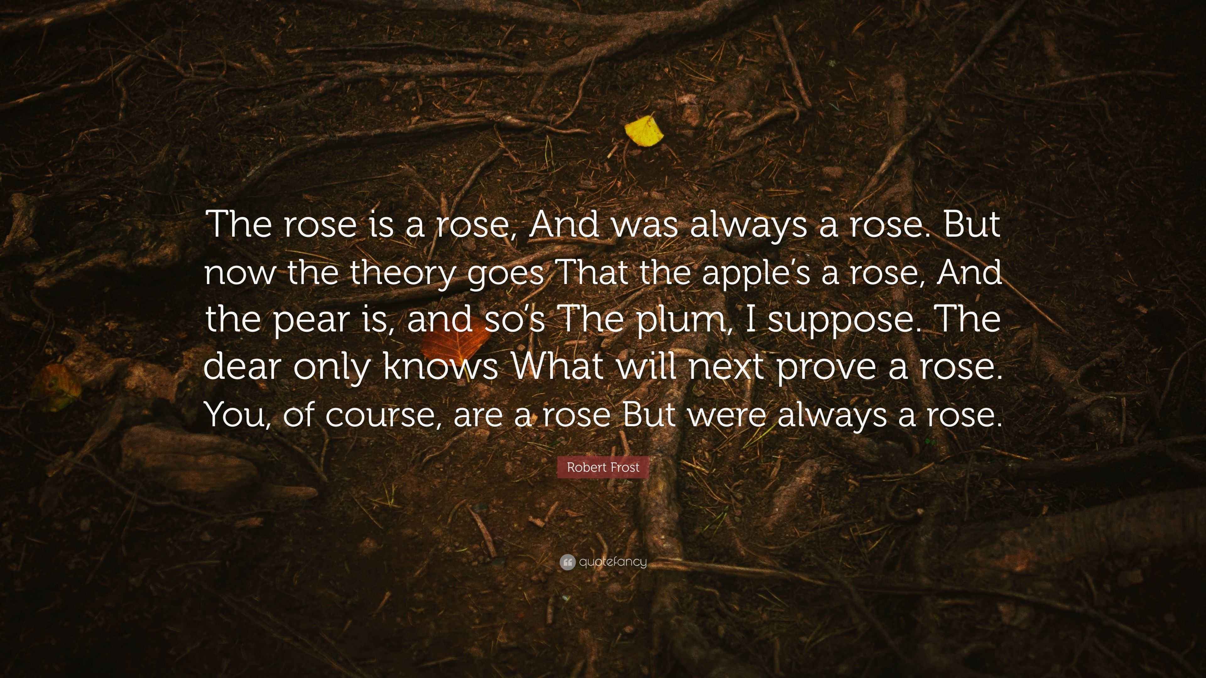 Robert Frost Quote “The rose is a rose, And was always a rose. But now