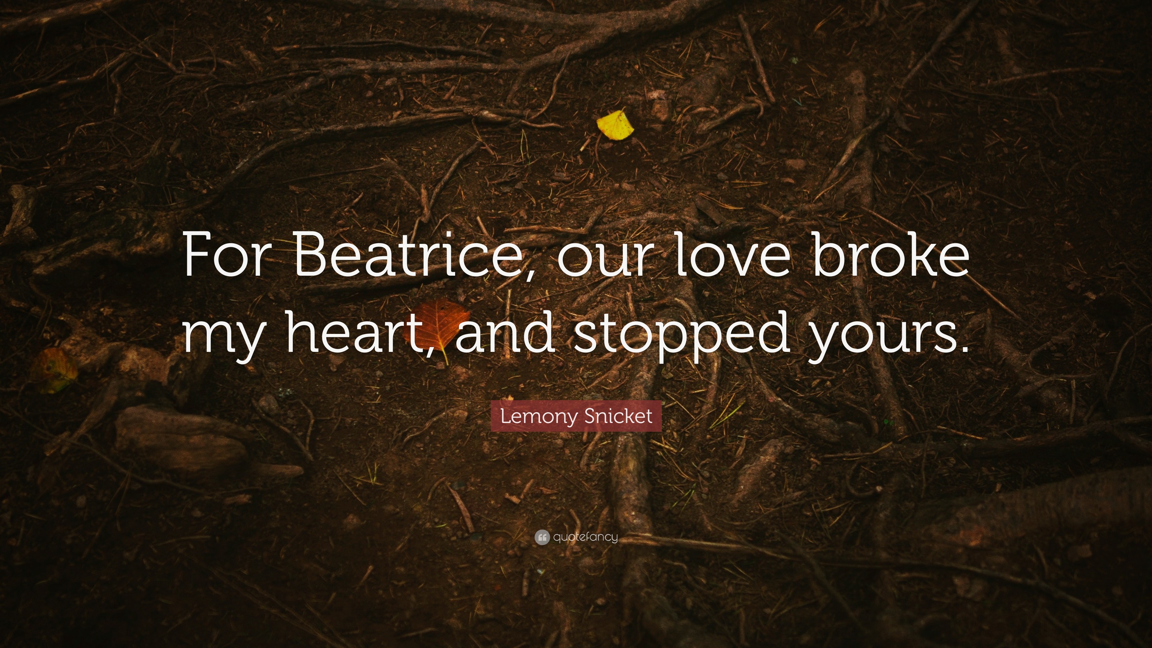 Lemony Snicket Quote For Beatrice our love broke my heart and