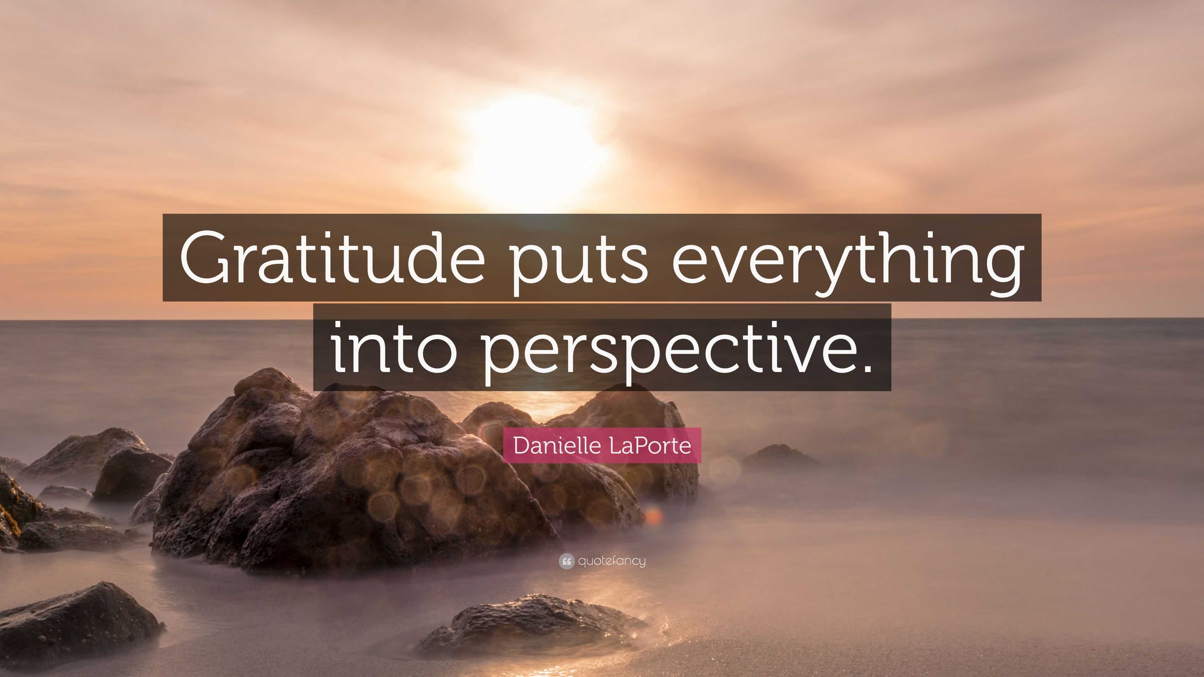 Danielle LaPorte Quote: “Gratitude puts everything into perspective.”