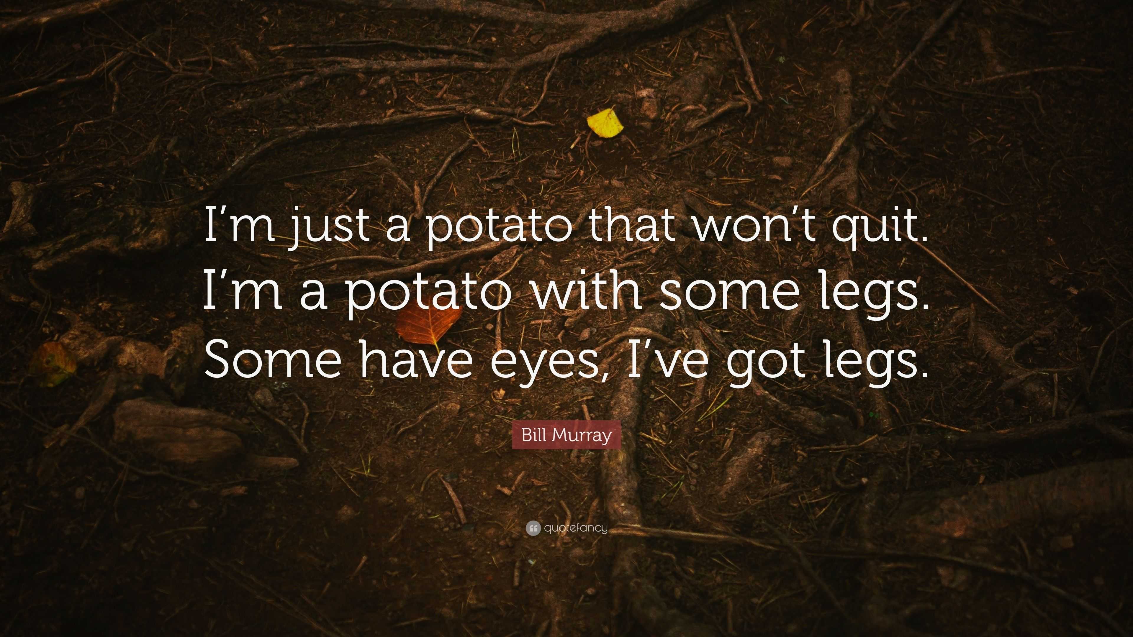 Bill Murray Quote “I’m just a potato that won’t quit. I’m a potato