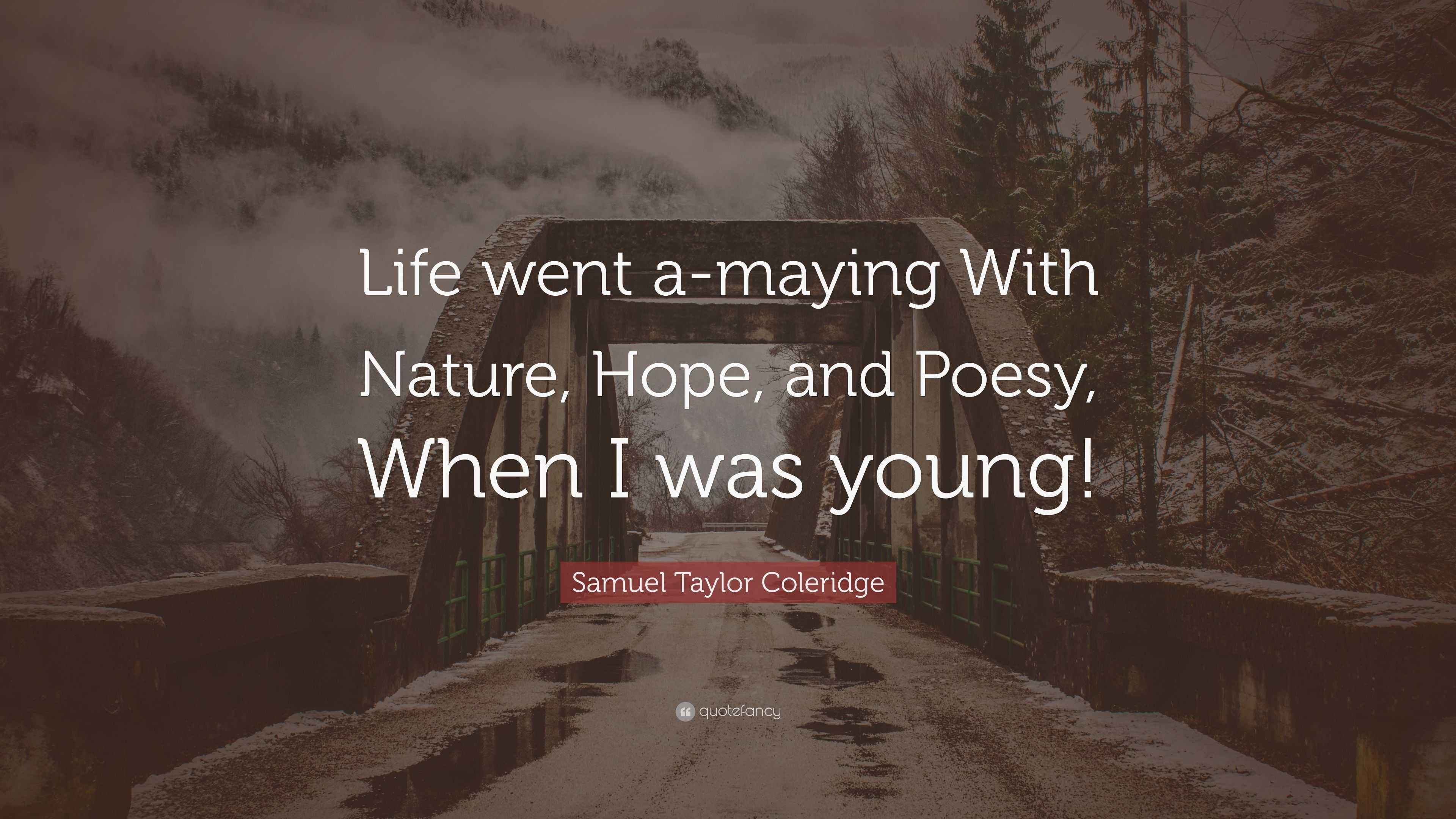 Samuel Taylor Coleridge Quote “Life went amaying With Nature, Hope