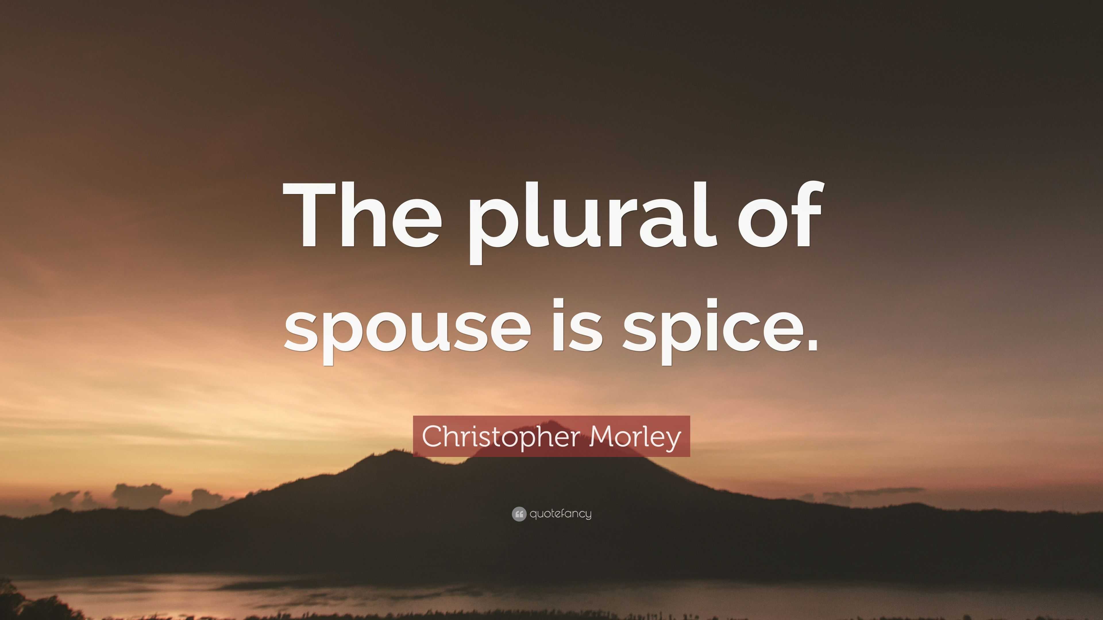 Christopher Morley Quote “The plural of spouse is spice.”